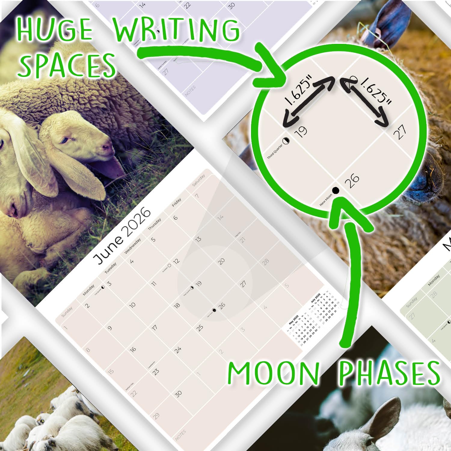 Amazon | 2025 2026 羊カレンダー - かわいい家畜マンスリー壁掛け