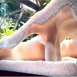 Aquarium Decor, 3D Printed Natural Tunnel Pleco Cave, Fish Hideout Decor for Cichlid, Clown Loach & Kuhli Loach(White,20.6 * 15 * 7.3)