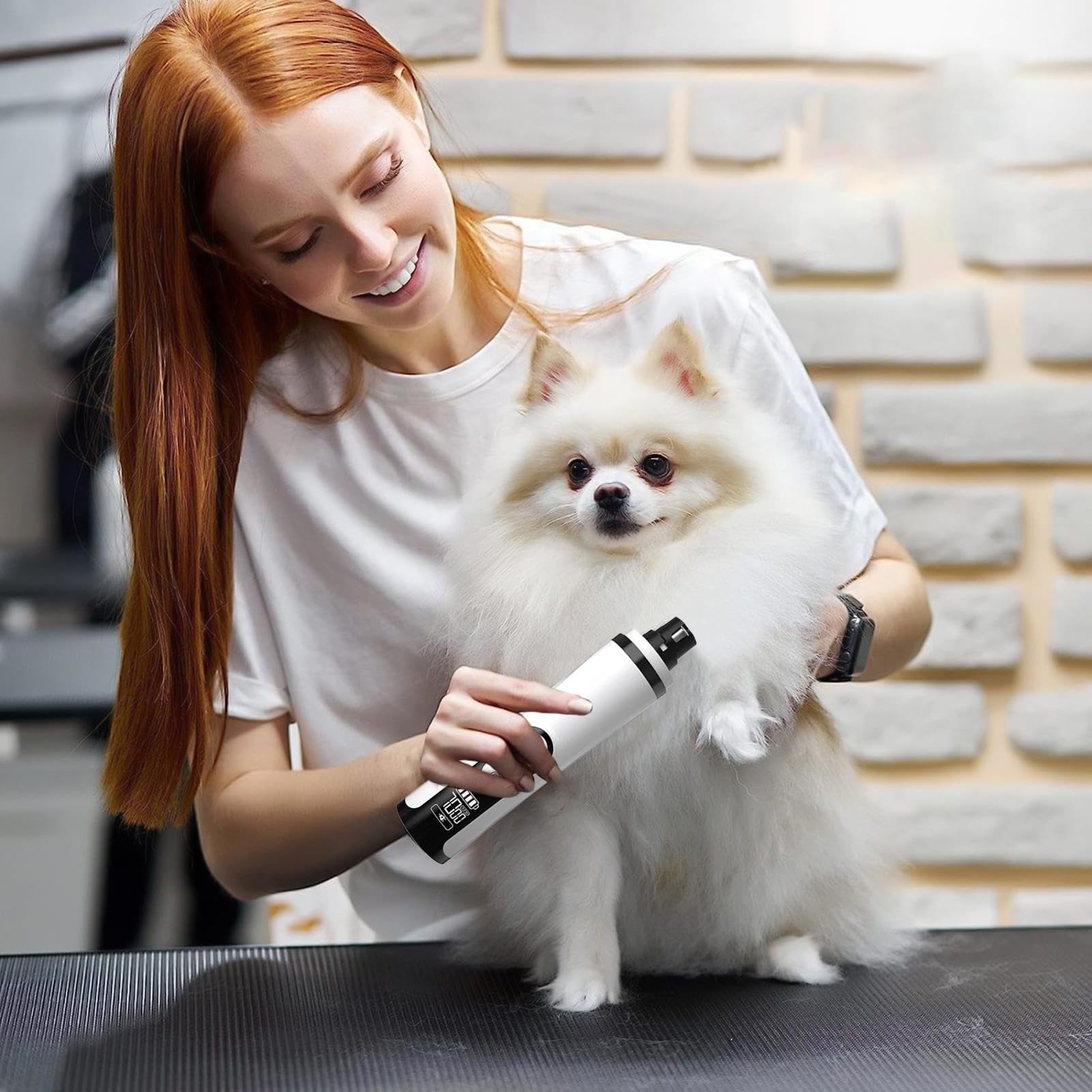 Broyeur à ongles électrique pour chien Outil de toilettage 3 vitesses