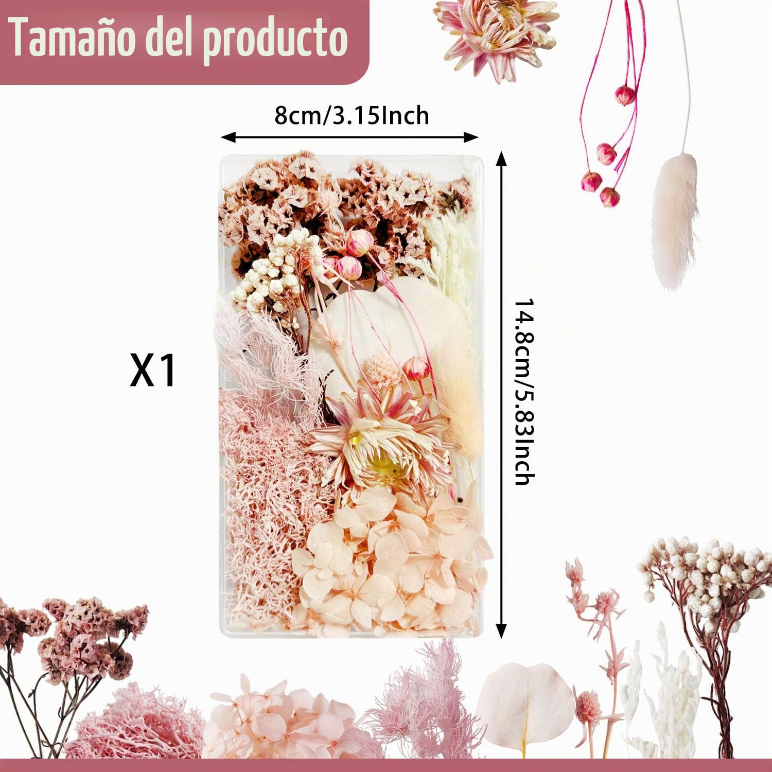 Flores Secas Manualidades Flores Preservadas Naturales Flores Secas Decorativas Flores Prensadas Secas Naturales para Marco de Foto DIY Decoración Artesanal (Rosa)