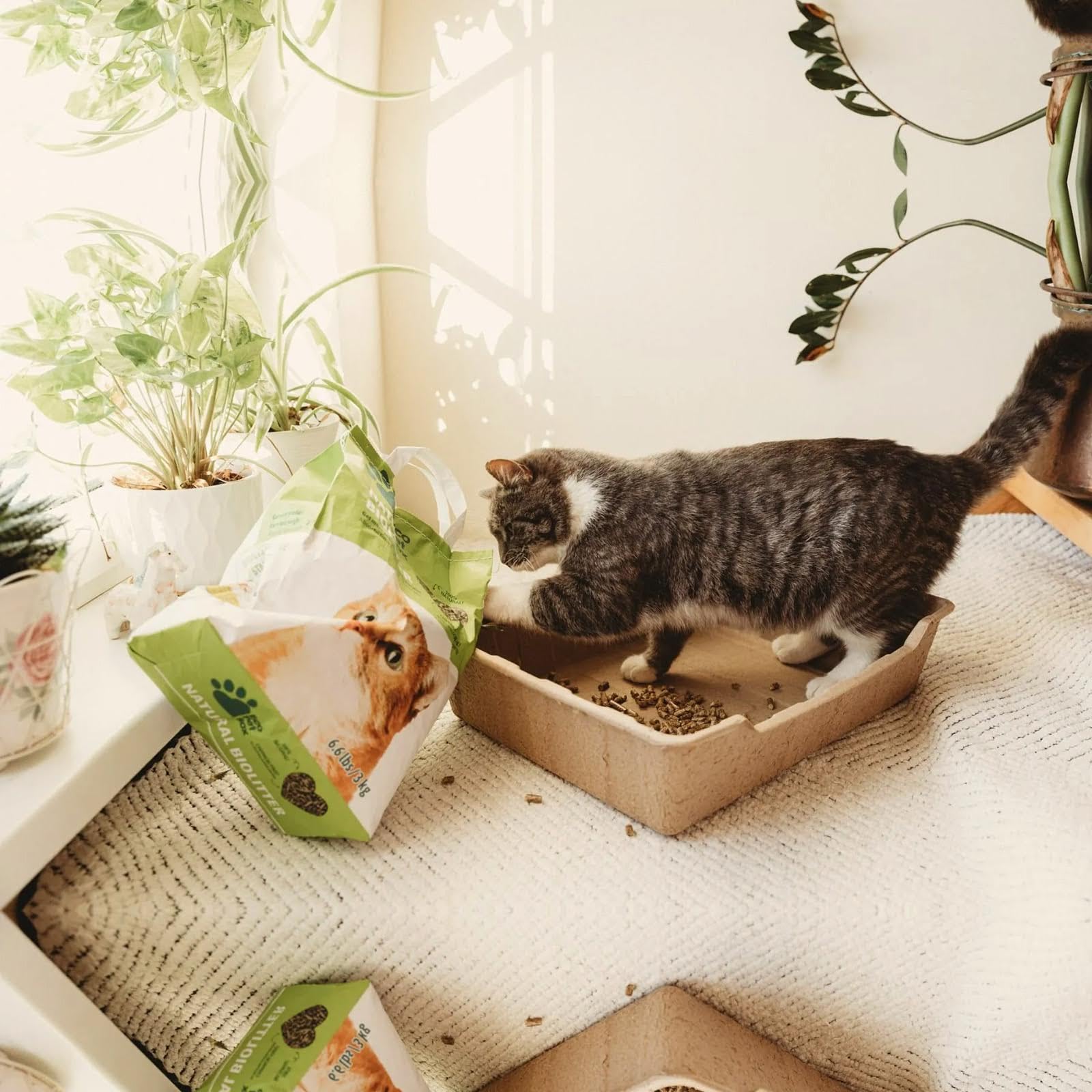 Katzenstreu Auf Holzbasis – 5 L, Umweltfreundlich, Biologisch Abbaubar Mit Guter Geruchskontrolle