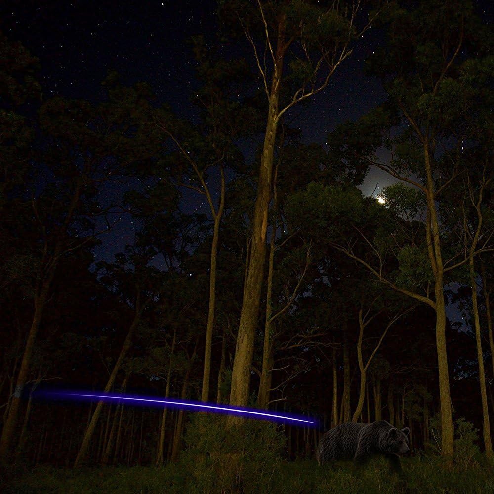 Lighted Nocks View 4