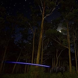 Reikawa 6PCS Lighted Nocks for Crossbow with .300\'\'/7.62mm Inside Diameter,Half Moon Style Lighted Archery nocks