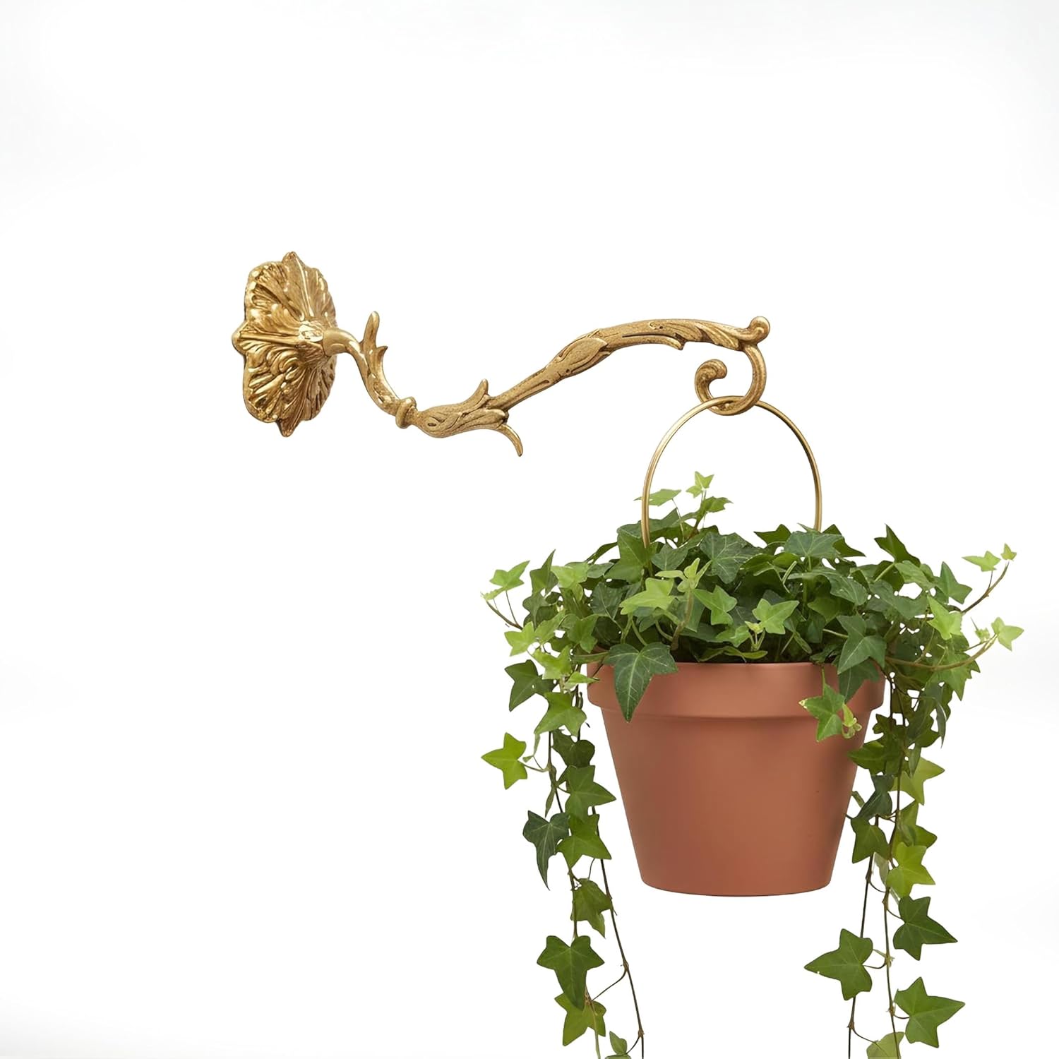 Plant Hanger Wall Hook – Handmade Solid Brass Hanging Basket Hook for Plants, Lanterns & Wind Chimes 12cm x 7cm