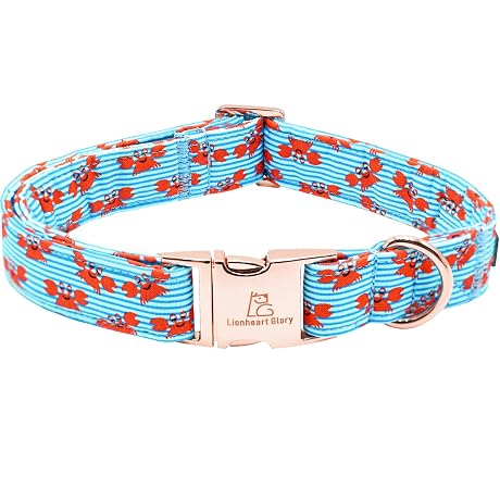 Lionheart glory Dog Collar Blue Stripe Dog Collars for Small Dogs, Summer Boy Dog Collars Adjustable Duty Heavey Collar Collar Cute Collars