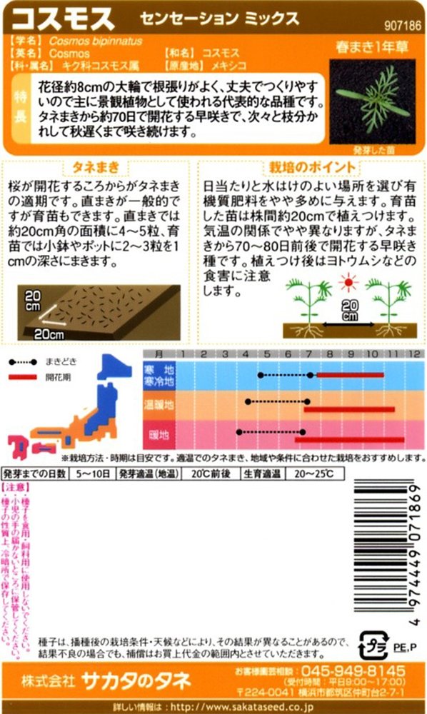 Amazon | サカタのタネ 実咲花7186 コスモス センセーション