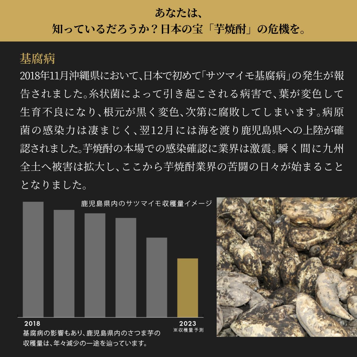 Amazon.co.jp: 焼酎 芋焼酎 白金乃雫 しらかねのしずく 無加水原酒 37