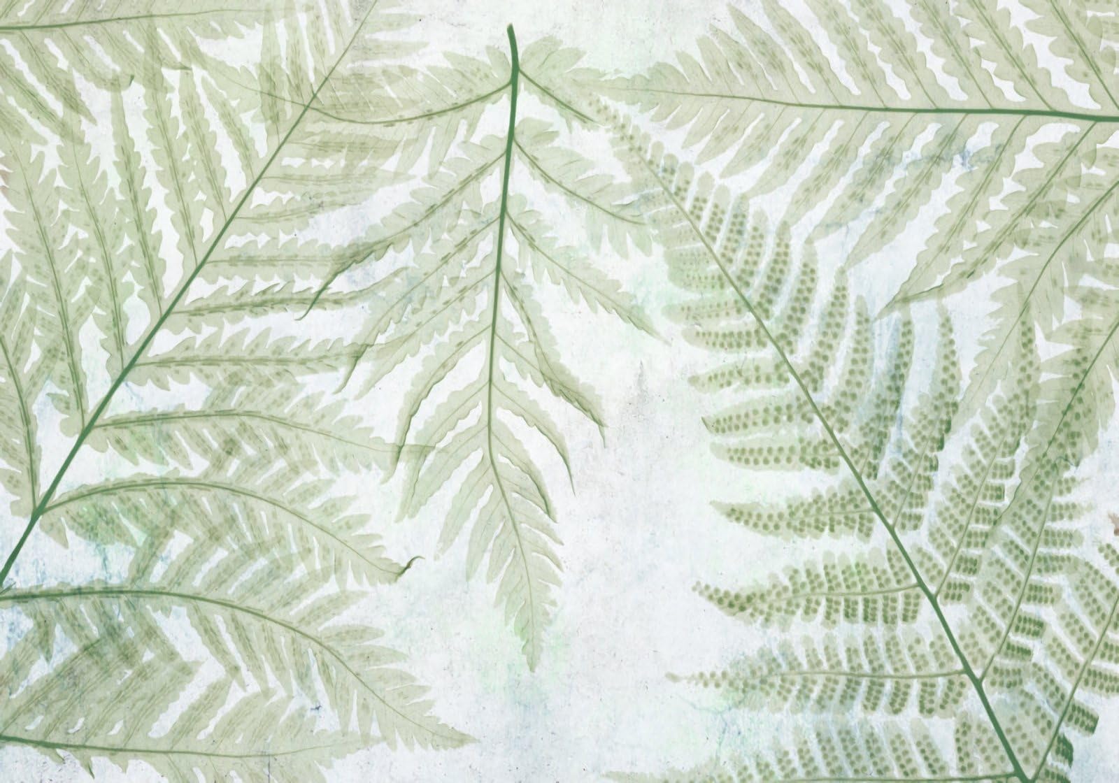 Plantes tropicales en tapisserie murale 3D pour illuminer un salon sombre