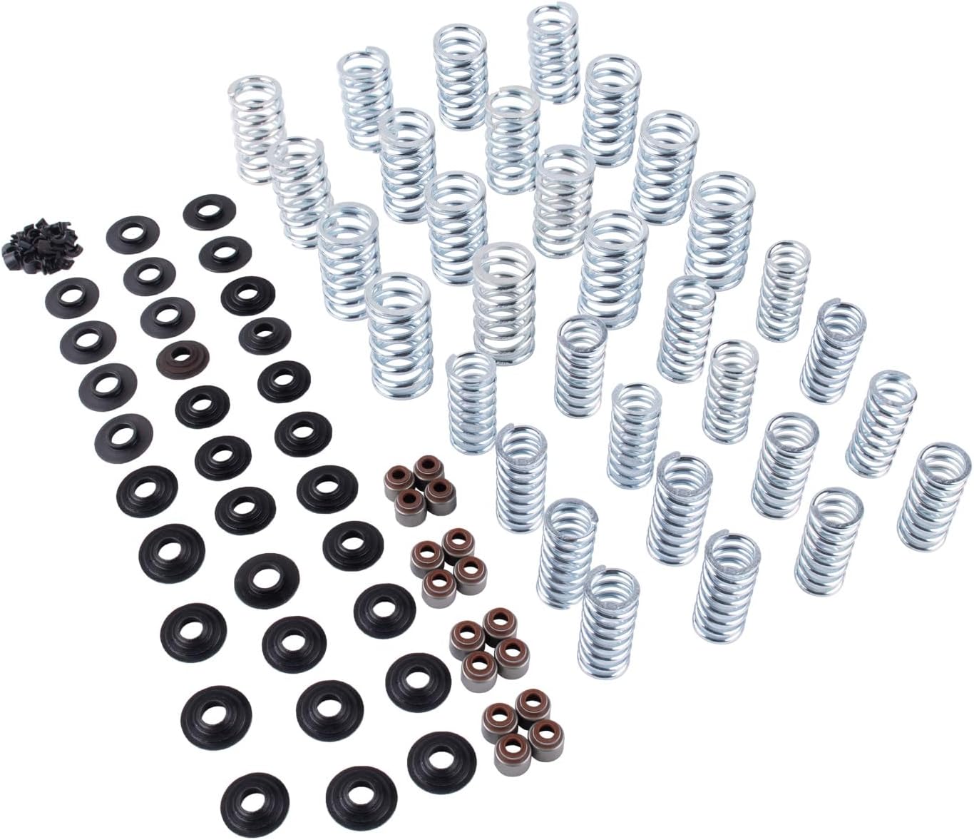 660" BTR Brian Tooley Racing LS Dual Valve Spring Kit with Steel Retainers SK001 SK001S Compatible with LS1 LS2 LS3 LS4 LS6 L76 L92 L99 LQ4 LQ9 L33 LSA 4.8L 5.3L 5.7L 6.0L 6.2L