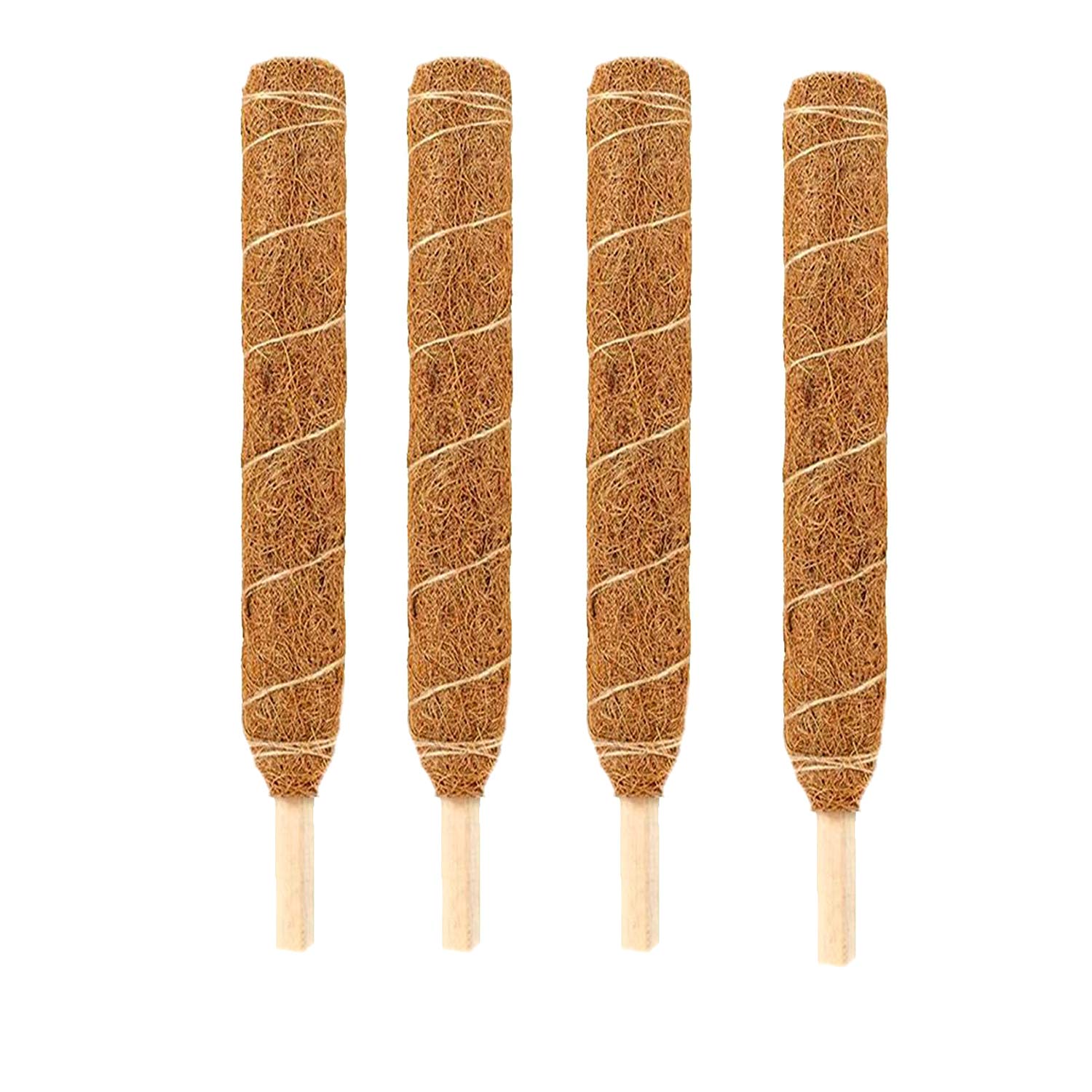 See full amazon price history chart for LIVEONCE Coco Pole -Moss and Coir Stick for Indoor, House and Plant Creepers Support 2 FEET -Pack of 4 -Color -Natural LIVEONCE Coco Pole -Moss and Coir Stick for Indoor, House and Plant Creepers Support 2 FEET -Pack of 4 -Color -Natural (B08P1VB5PR) Amazon Price History, Amazon Price Tracker