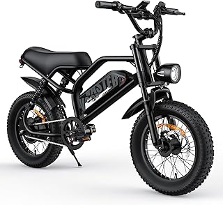 Mountain Electric Bike for Teens/Adults, 16" Fat Tire Ebike, Wider Seat 500W Motor with Removable Battery, 20MPH, UP to 35 Miles Mountain Bike, Teenagers ebike for Riding&Commuting