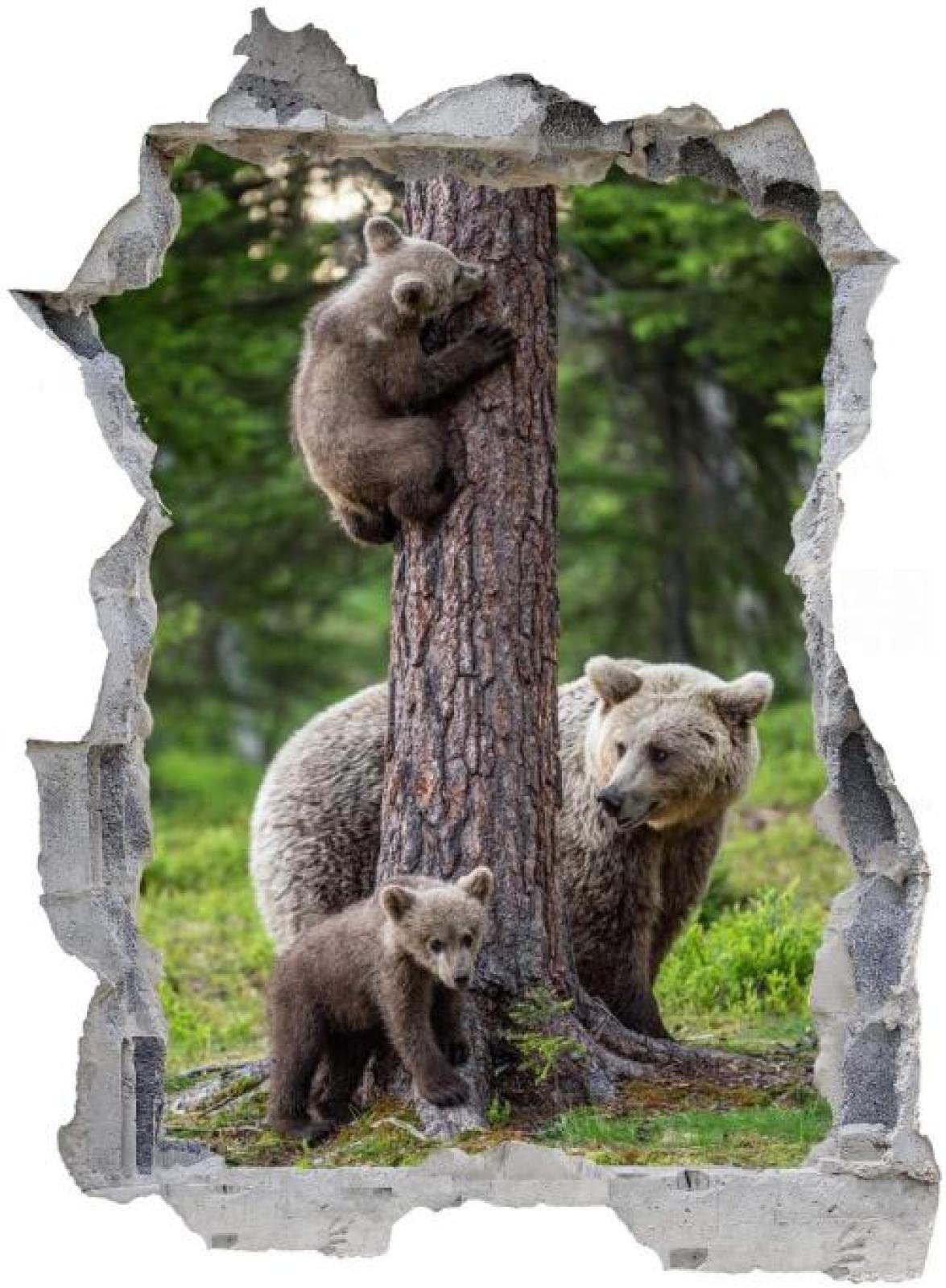 Gougeltd Calcomanía de Pared 3D Árbol genealógico del oso Impermeable Paisaje Agujero Etiqueta de La Pared Adhesivos de Pared para Interior Hogar Sala de Estar Decoración de Oficina 75X116cm