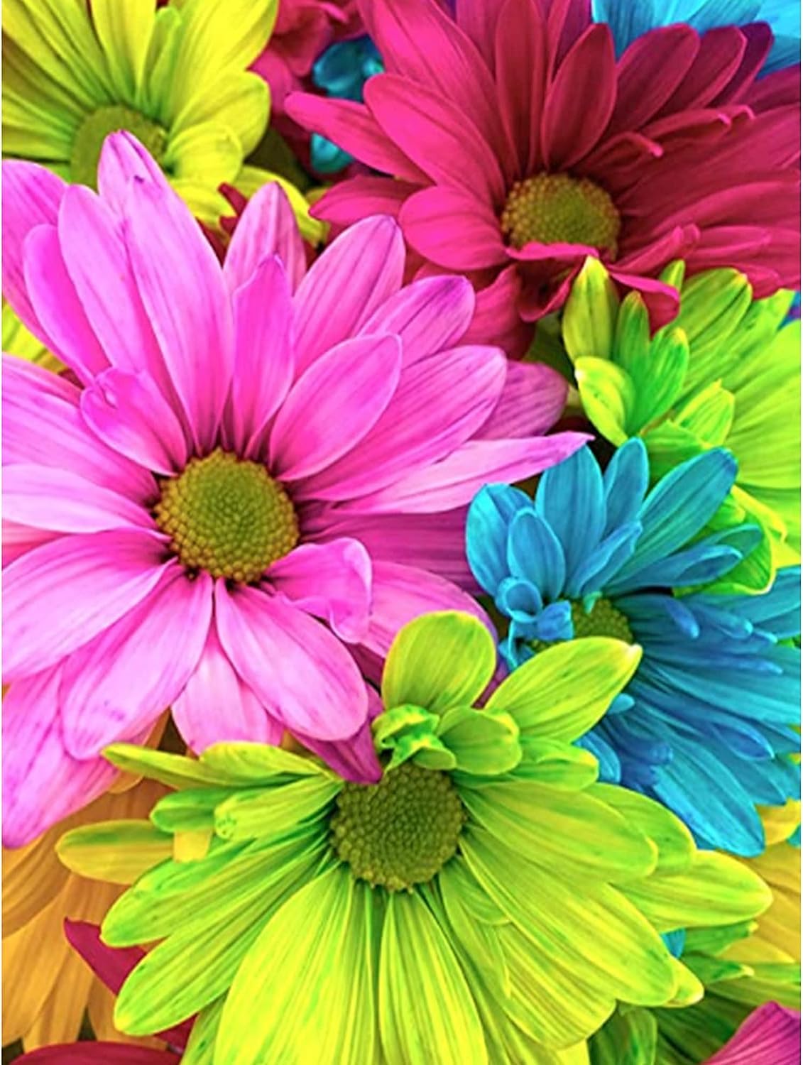 5D Diamond Art Painting Kits Flowers for Adults,Colorful Daisy DIY Diamond Art Full Round Diamond Drill,Gebera Daisy Painting with Round Diamonds for Home Wall Decor Gift(30x40cm/11.8X15.7inch)-image-4