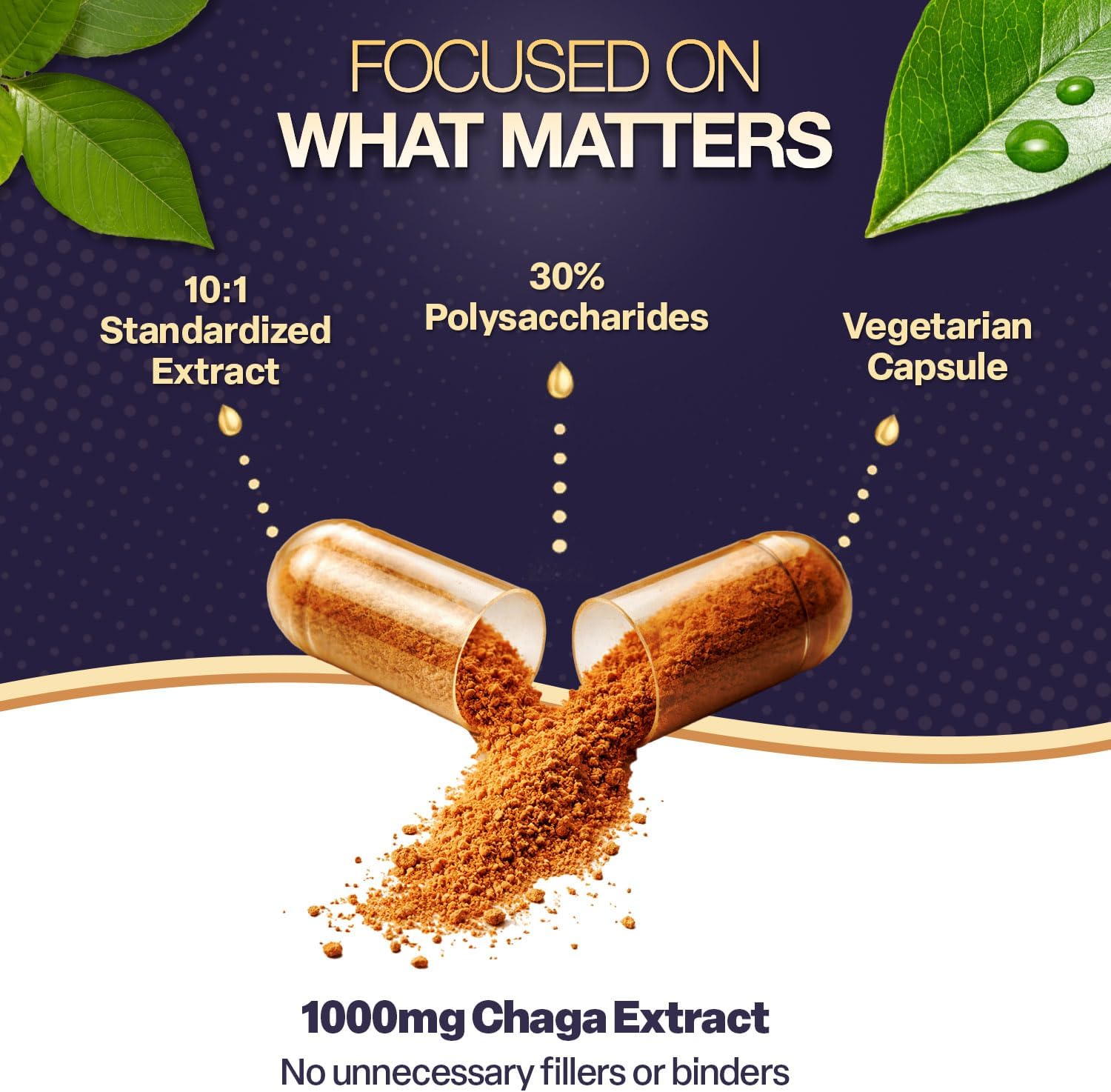 s Elements Chaga Mushroom – – 10:1 Extract % Polysaccharides –