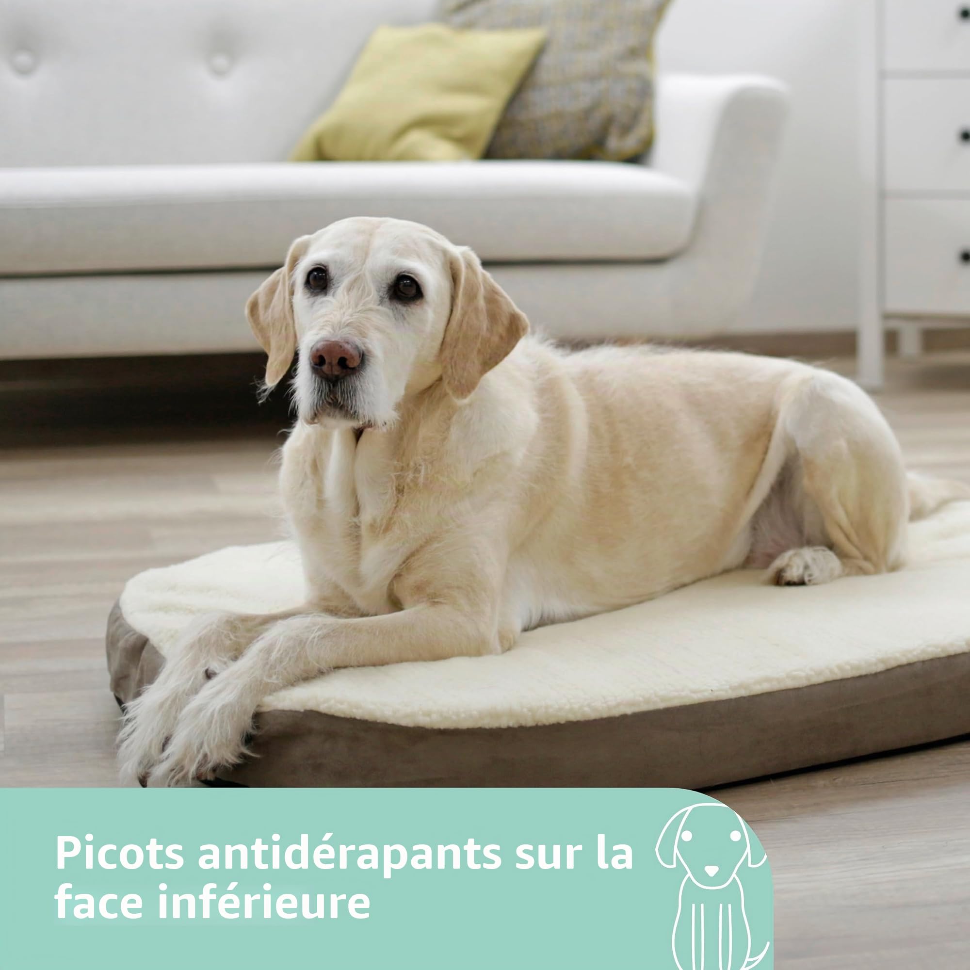 KERBL Matelas à Mémoire Forme Ovale pour Chien 100 x 65 x 8 cm, Gris/beige.