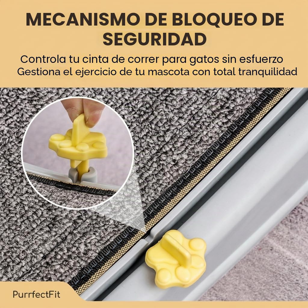SOONHUA Rueda de correr para gatos de 80 cm con freno de seguridad, Rueda para gatos estable para gatos domésticos, Rueda de correr para gatos con alfombrilla extraíble