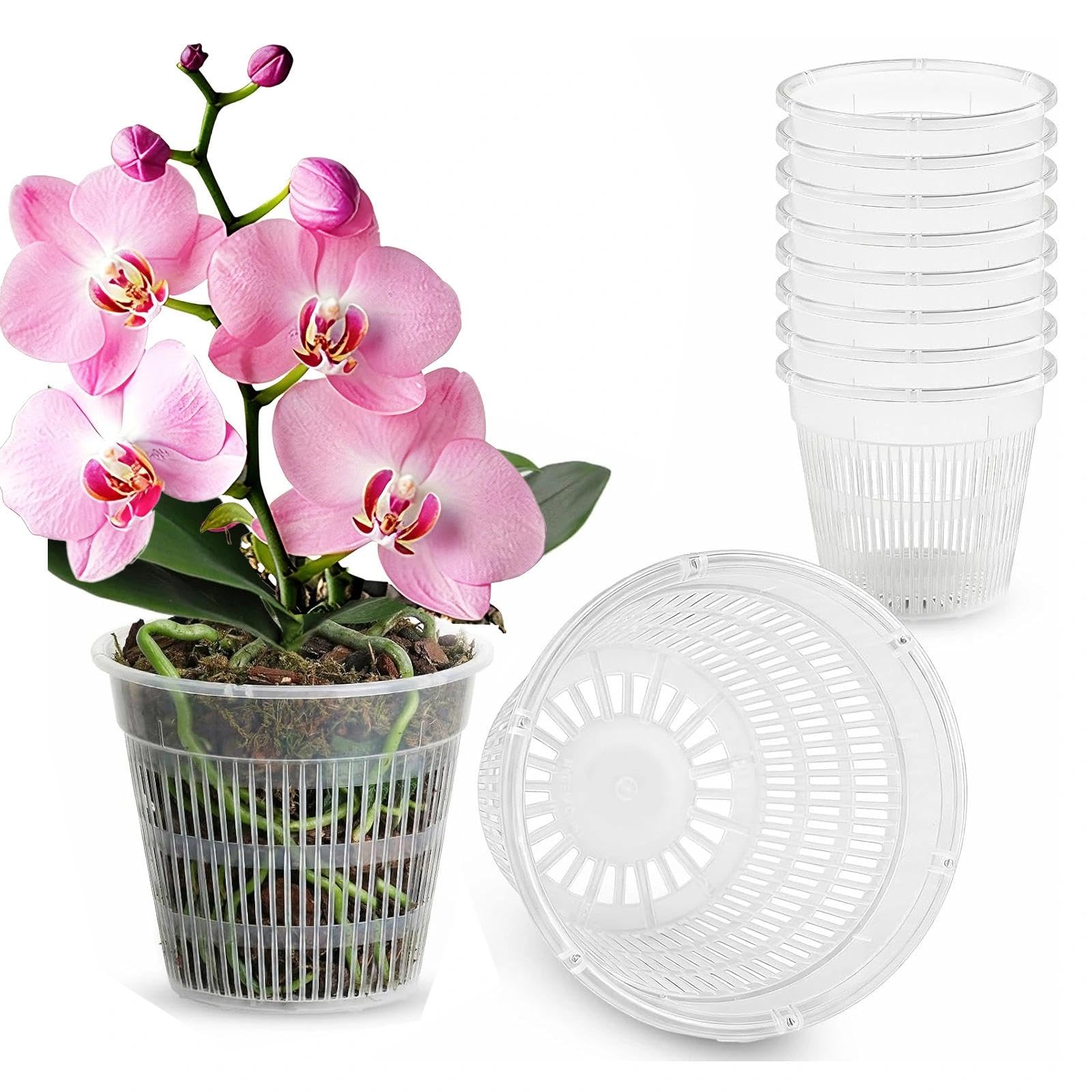 Chovize Transparent 8 Pcs Premium Clear Orchid Pots With Drainage Holes, Orchid Pots With Holes And Saucers For Repotting, Ideal Orchids Repotting Kit For Succulents And Root Growth