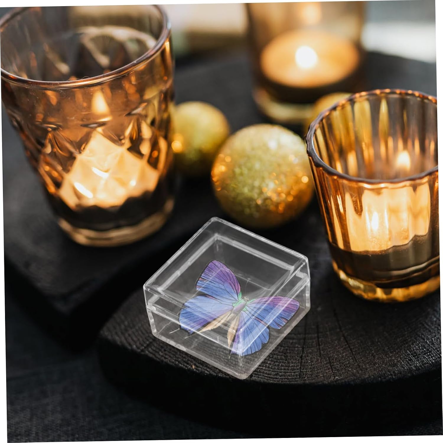 FOMIYES 10pcs Transparent Specimen Display Box Mini Storage Case for Organizing Collections Sample Containers for Specimens Easy to Use and Space-Saving