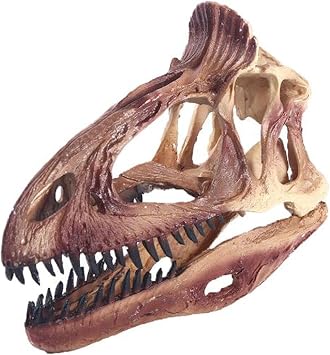 Dinosaur Skull Replica Aquarium Decoration Resin Dinosaur Skull Model Figurine High Simulated Animal Skeleton Bone Model for Home Office Display Decorative Craft