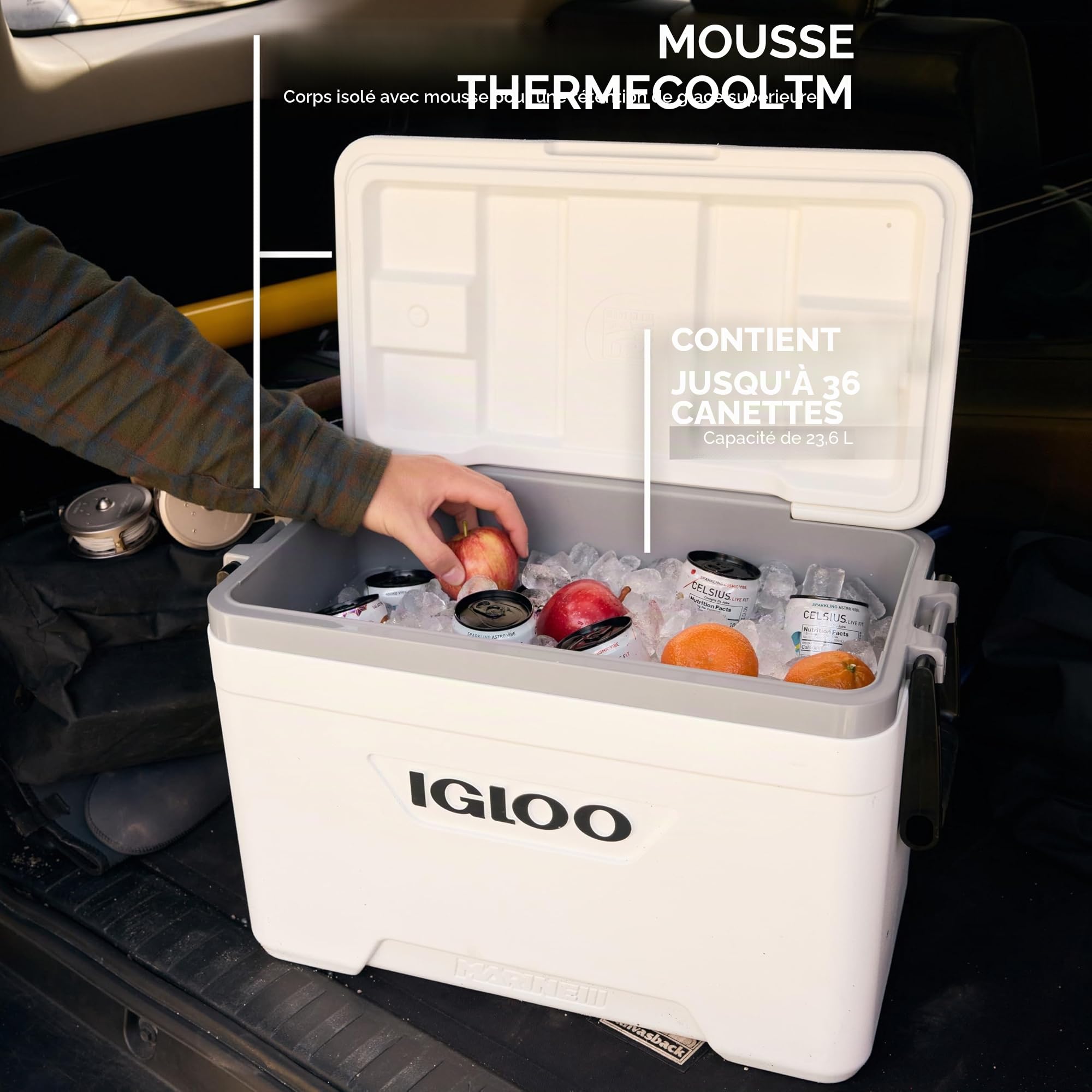 IGLOO Marine Glacière Unisexe