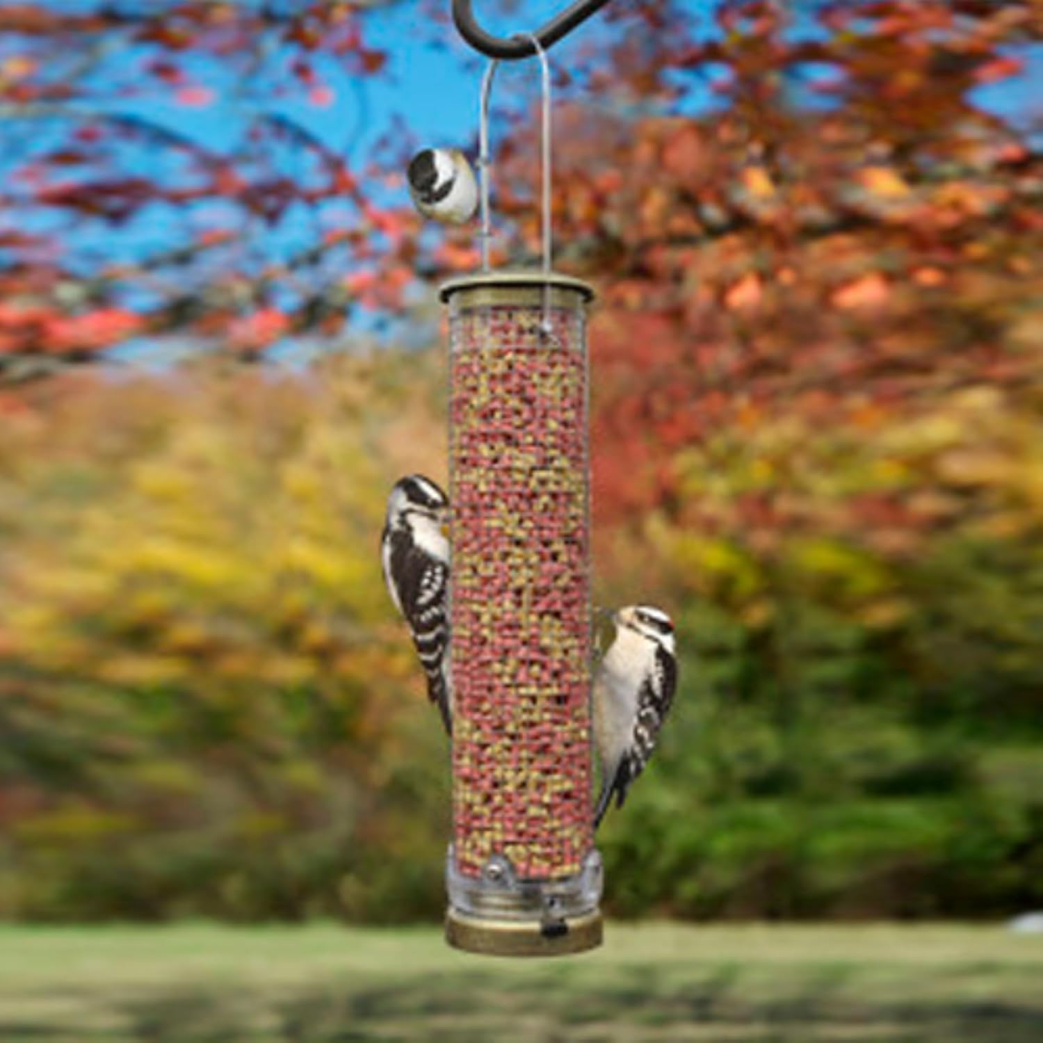 Cole's MM06 Mighty Mesh Bird Feeder
