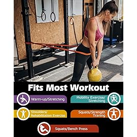 Zacro Resistance Bands, 5 Resistance Levels (15-125 LBS) Pull Up Assistance Bands, Exercise Bands Heavy Duty Resistance Band Set with Door Anchor, for Working Out, Muscle Training, Pull Up Assist