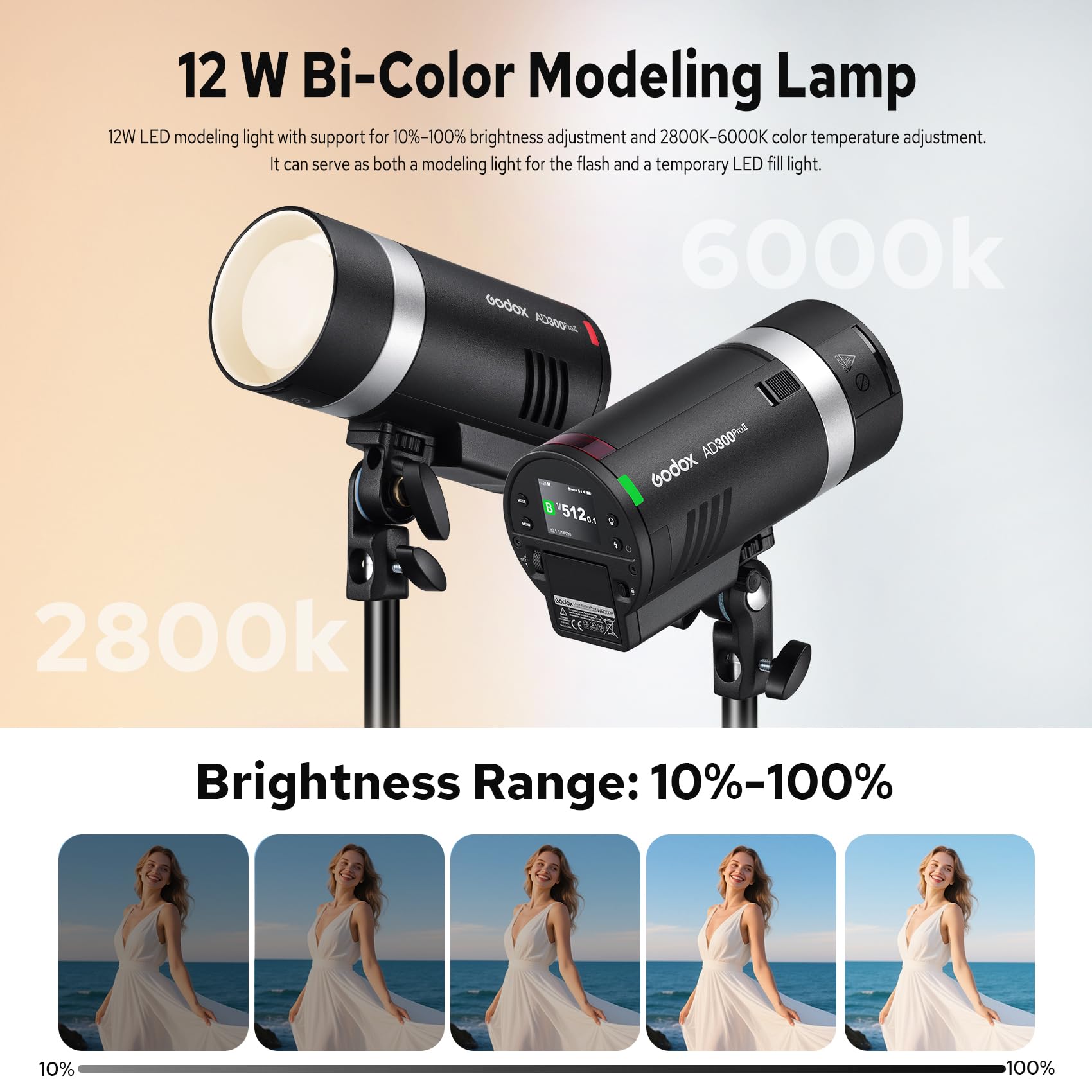 Amazon | 【GODOX正規代理店】GODOX AD300ProII AD300Pro II