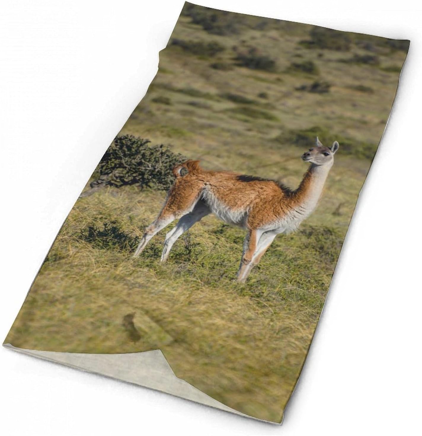 Guanacos Alpacas Neck Gaiter Windproof Face Mask Bandanas for Men Women Cold Weather Scarf
