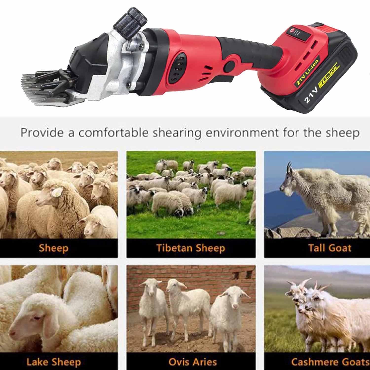 Cesoie per Pecore a Batteria, Litio Senza spazzole da 2000 mAh, Lama a Denti Dritti da 13, per tosare Pecore e Altri Animali da Allevamento, batterie*2