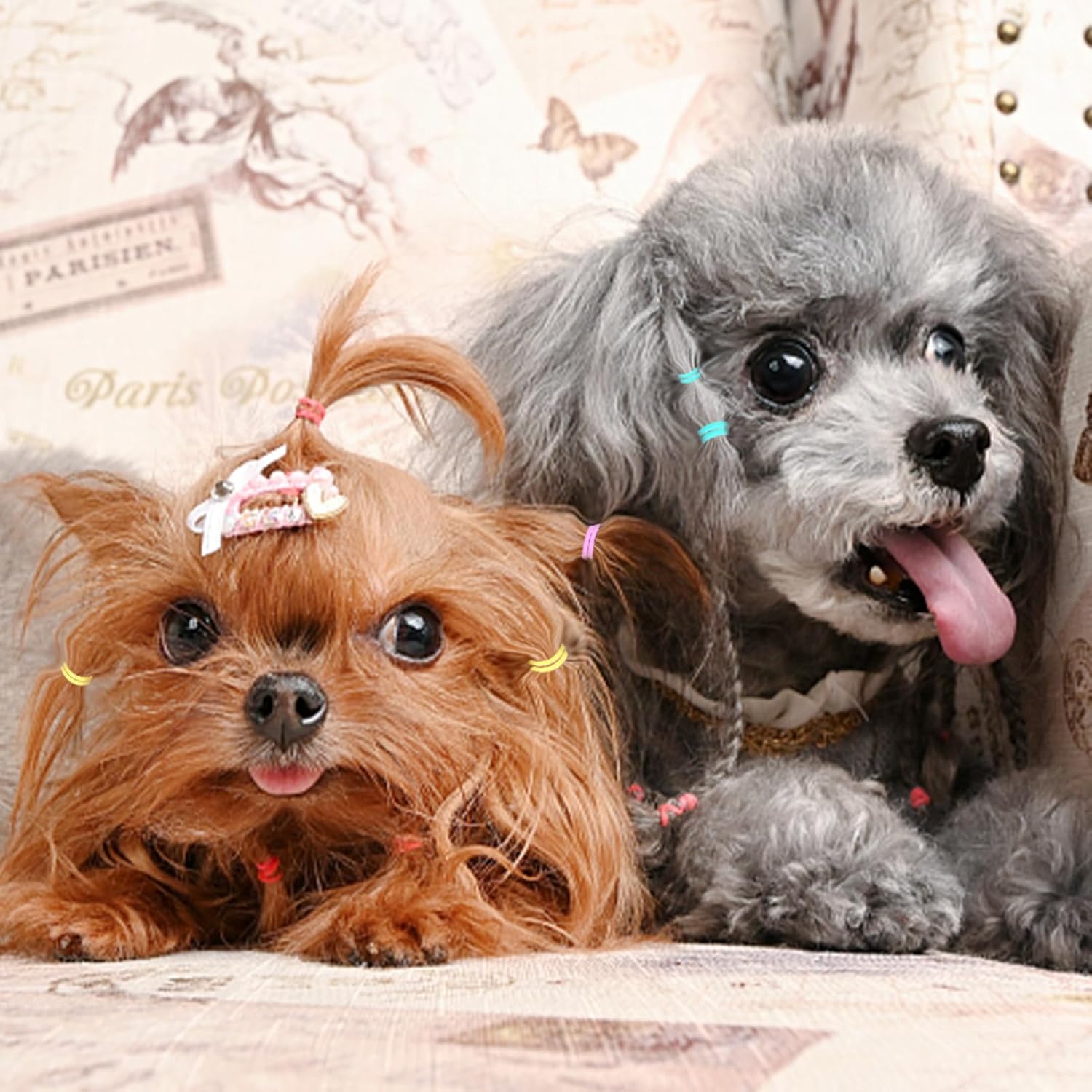 Cyrank 10 Packs of Elastic Bands for Dogs, Hair Ties for Dogs, Wool Bands for Dogs with Mini DIY Elastic Bands, Colourful Beauty Accessories for Dogs 7