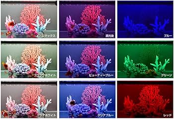 ゼンスイ　マルチカラーLED1200 Amazon.co.jp: ゼンスイ 水中マルチカラーLED 1200 リモコン・タイマー