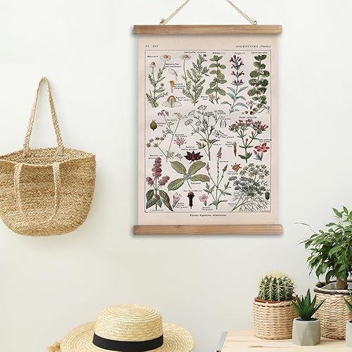 Miniatura 21 de XIAOAIKA Póster de botánica vintage con marco de madera, tabla de plantas venenosas antiguas, arte educativo botánico con especies peligrosas, 1
