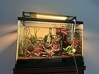 Review Image by Sunny Sunny