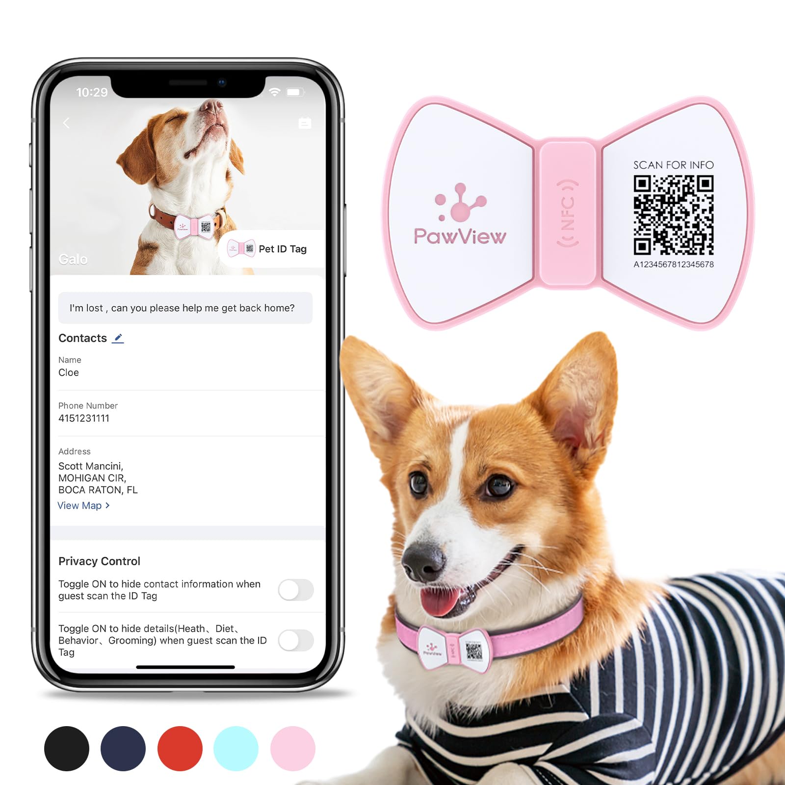 PawView QR Code Dog Tags UK with NFC