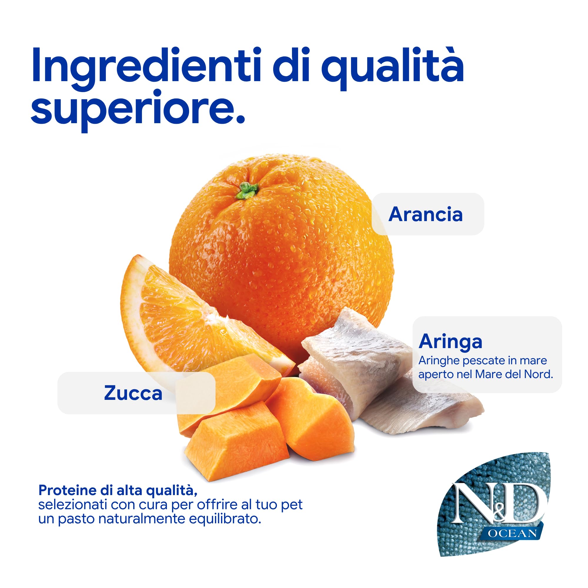 N&D OCEAN CAT HERRING, PUMPKIN AND ORANGE ADULT 5KG