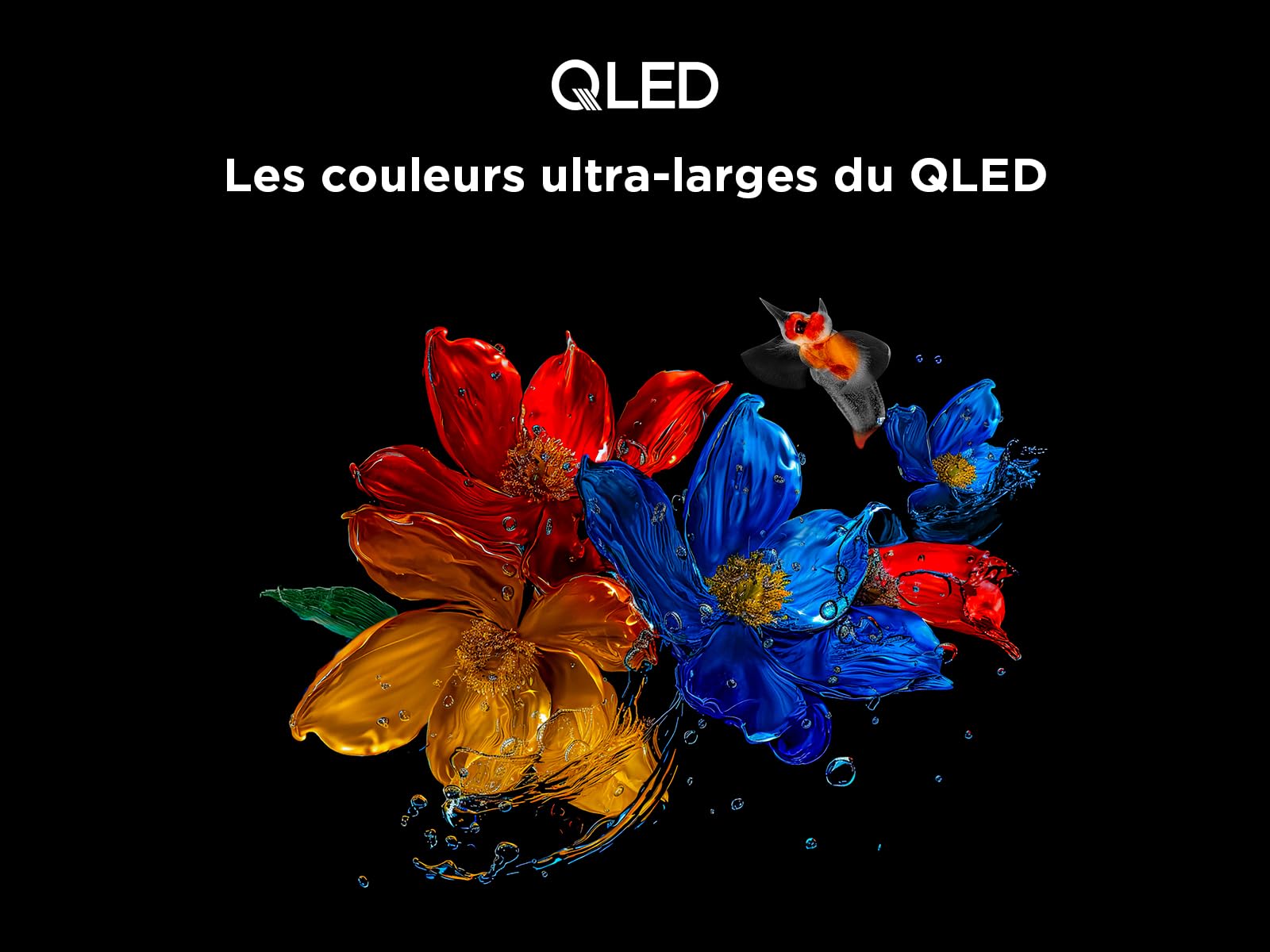 TCL 75T6C 75” QLED 4K HDR TV, Fire TV (Téléviseur Intelligent avec Dolby Vision et Atmos, HDR10+, Appuyez et Demandez à Alexa)