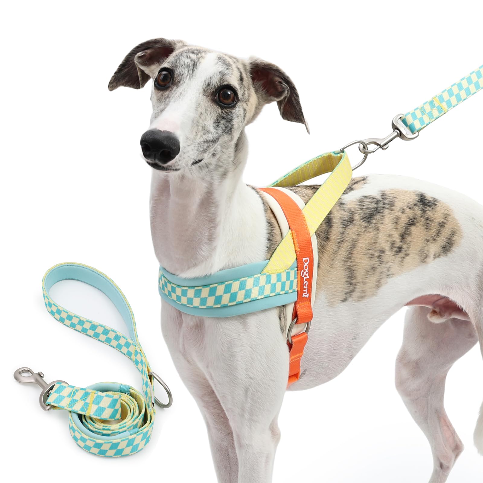 Farbblockierendes Hundegeschirr, kein Ziehen, ausbruchsicher, Haustierweste, Geschirre für Spaziergänge im Freien, verstellbares Geschirr und Leine mit weich gepolstertem Griff für