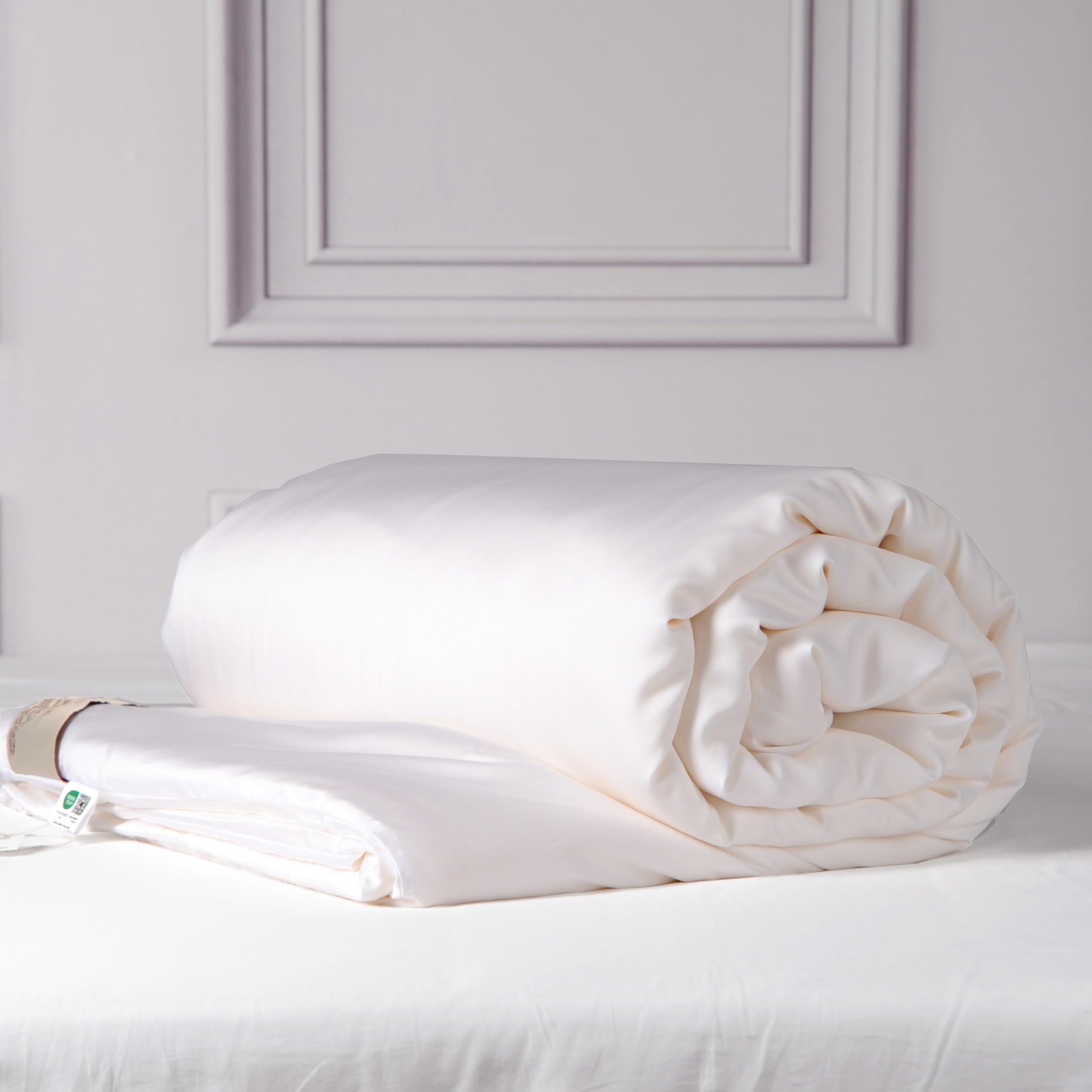 Photo 1 of CUDDLE DREAMS Silk Comforter with Tencel™ Lyocell Cover, Natural, Breathable, Cooling, Midweight for All-Season (White, Queen)