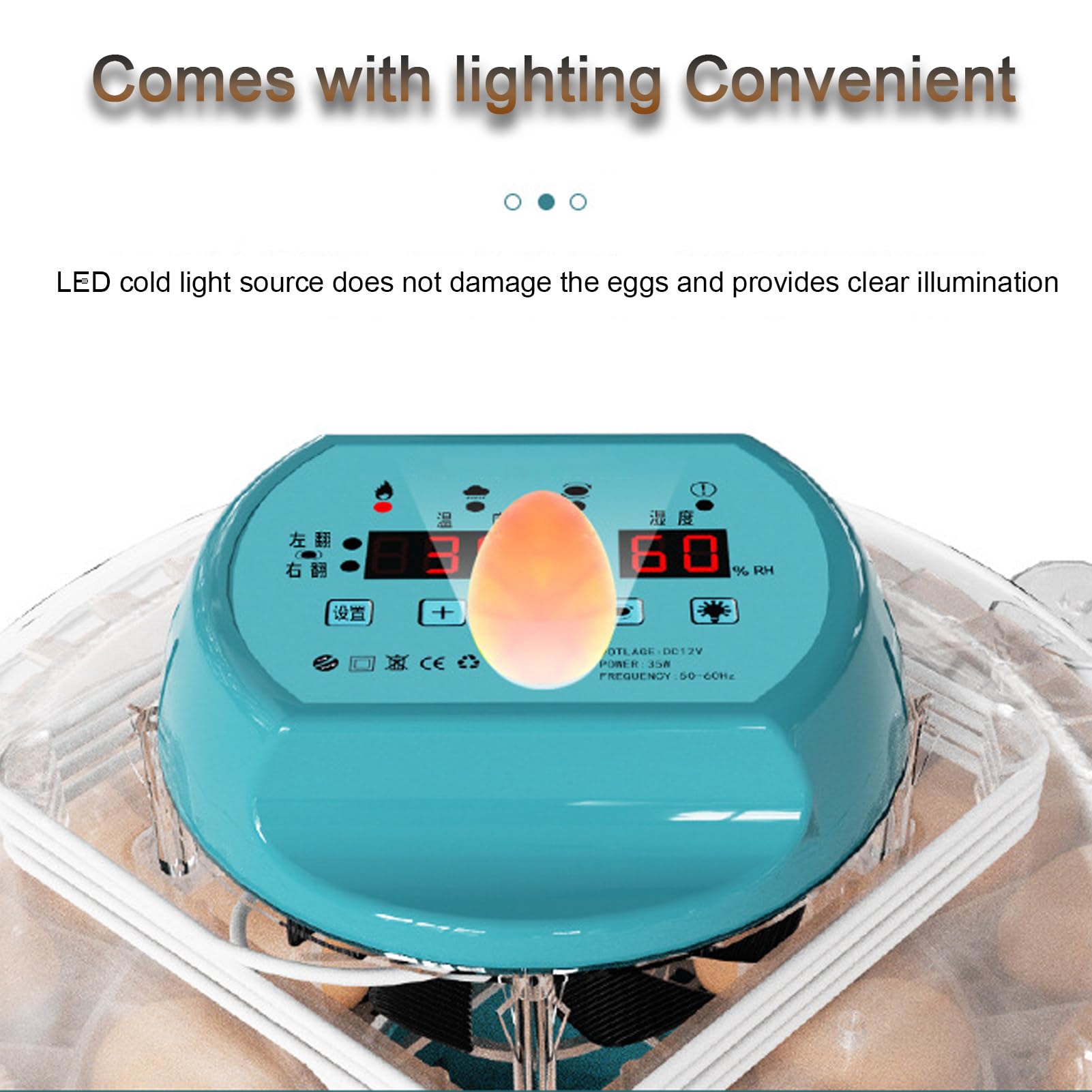 Incubadora automática de huevos con volteador y control de temperatura, apta para 15 o 30 huevos, ideal para uso doméstico en granjas