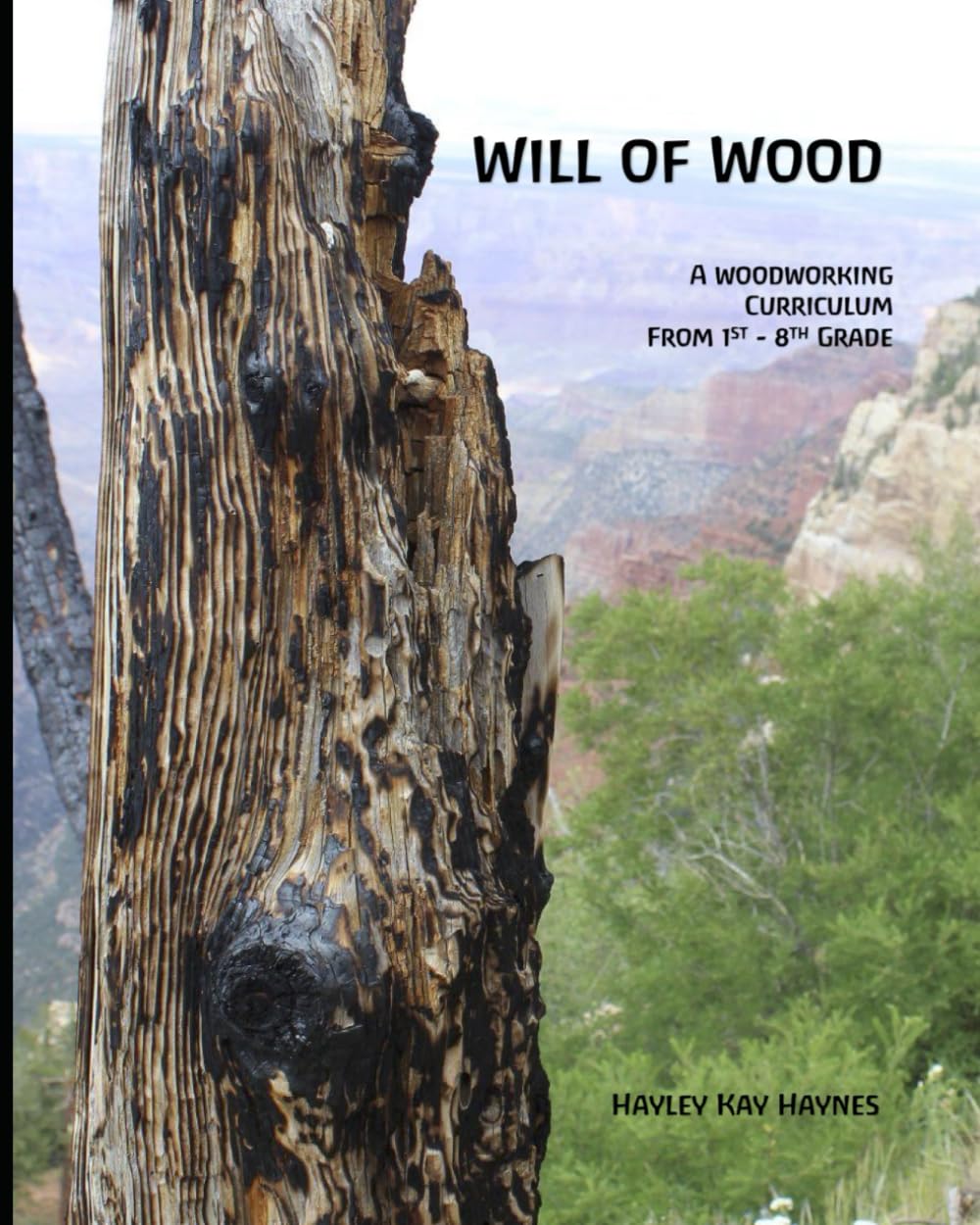 Will of Wood menuiserie enfants pour des activités créatives en famille