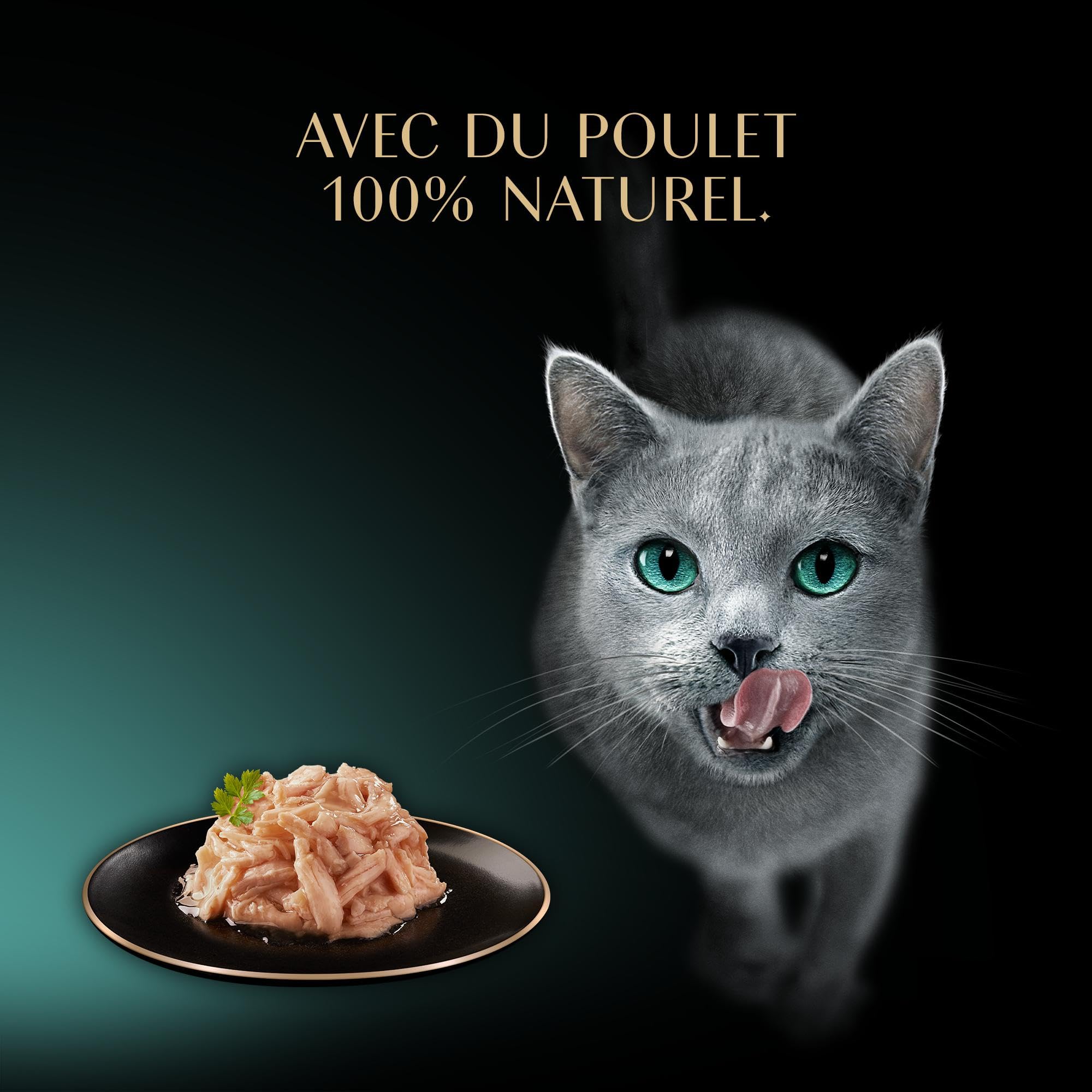 SHEBA Filets Nourriture pour Chat Adulte au Poulet, Poisson, Crevettes, Saumon et Thon en Sauce, 36 barquettes