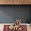 Product Photo 6