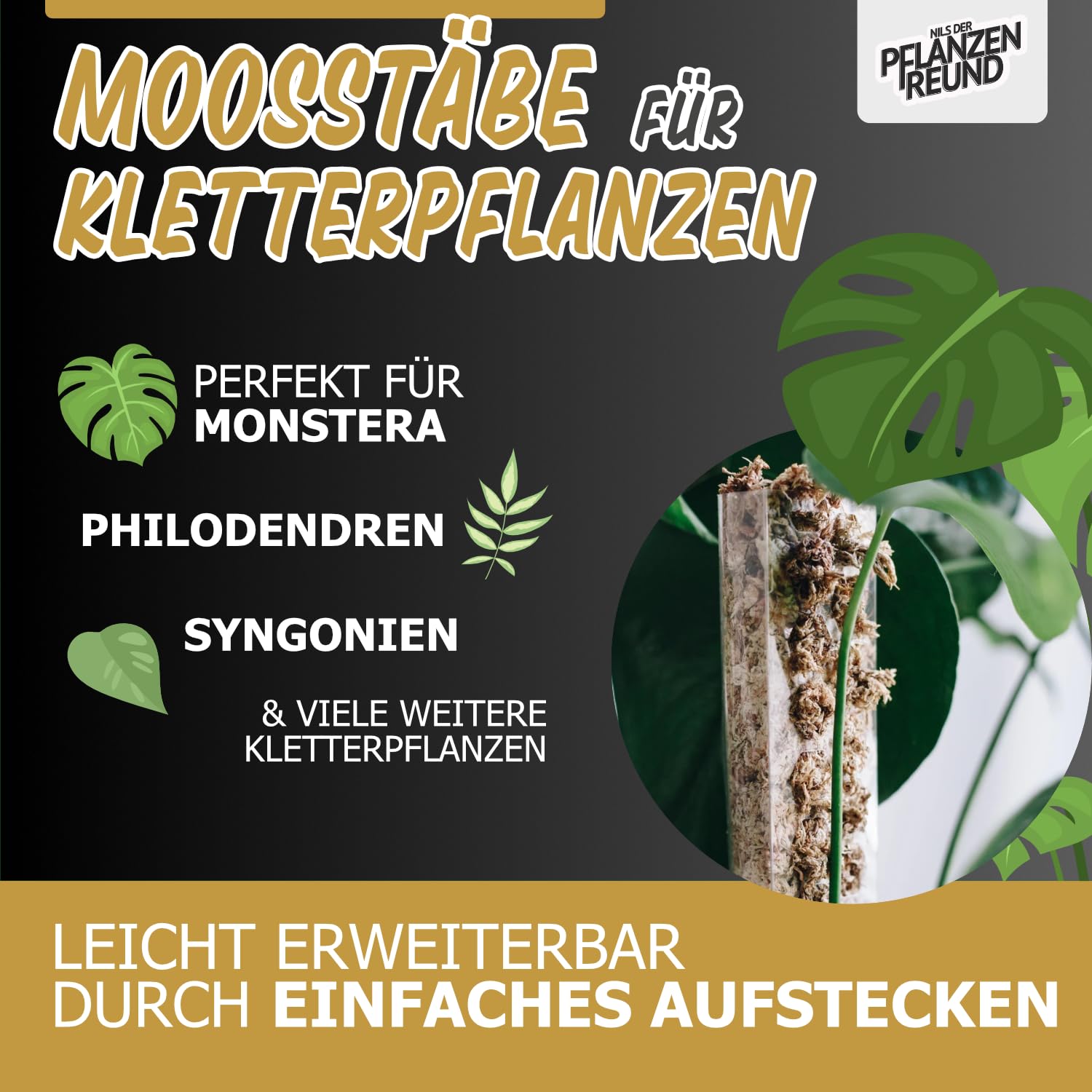 Moosstab 40 cm (L) 10 Stück, Klar – Moss Pole, erweiterbare Rankhilfe für Monstera & Kletterpflanzen, Pflanzenstab für Indoor Pflanzen