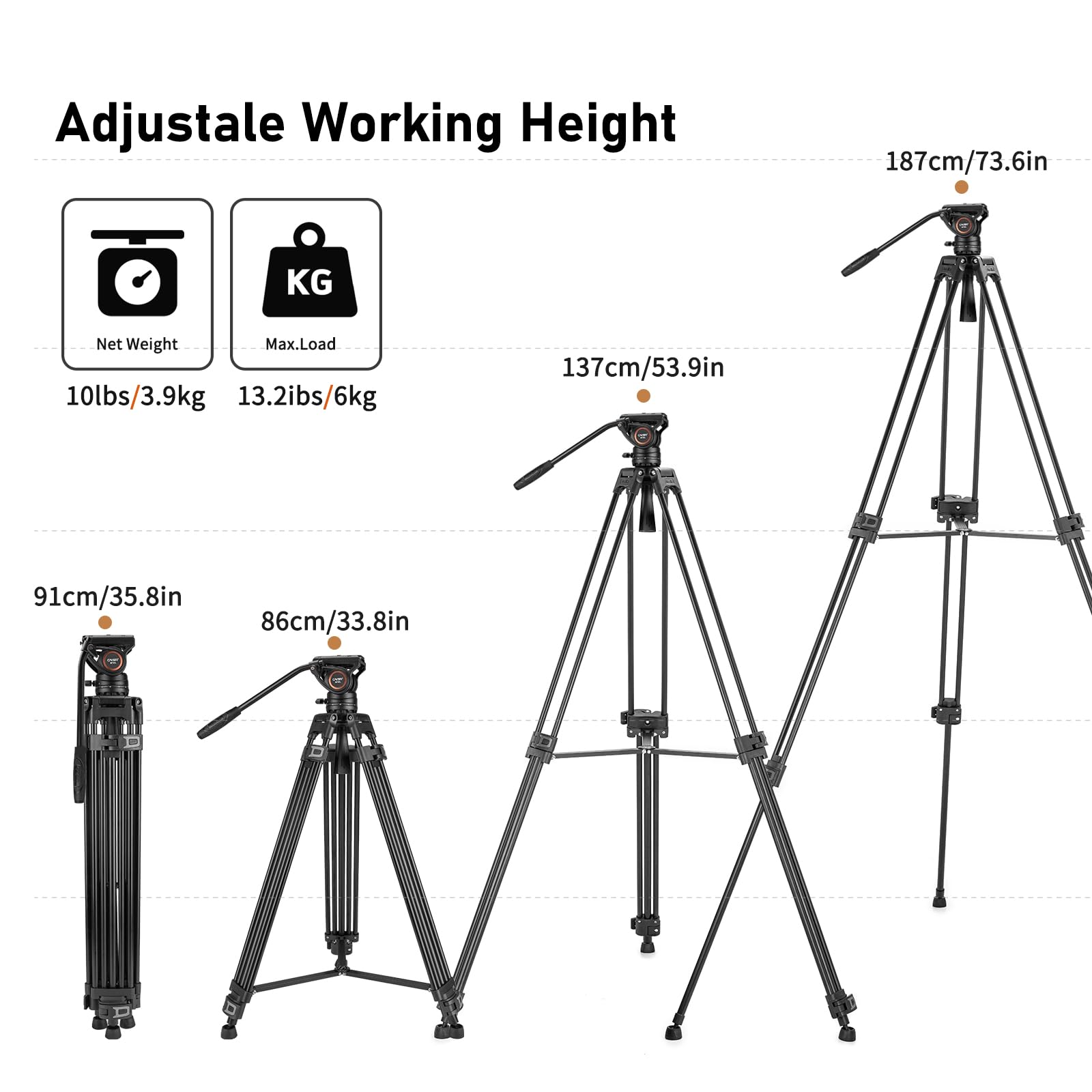 Système de trépied vidéo, Cayer BF30L 72 Pouces - Trépied Professionnel à Double Tube en Aluminium très résistant, tête Fluide K6, épandeur de Niveau intermédiaire, Charge maximale de 17,6 LB,