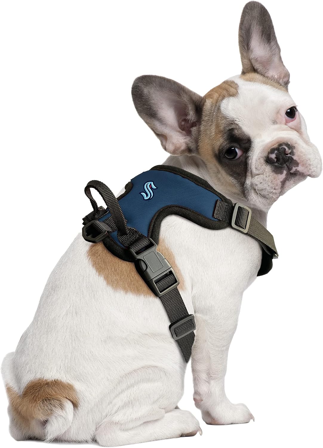 Littlearth NHL Unisex NHL Front Clip Pet Harness