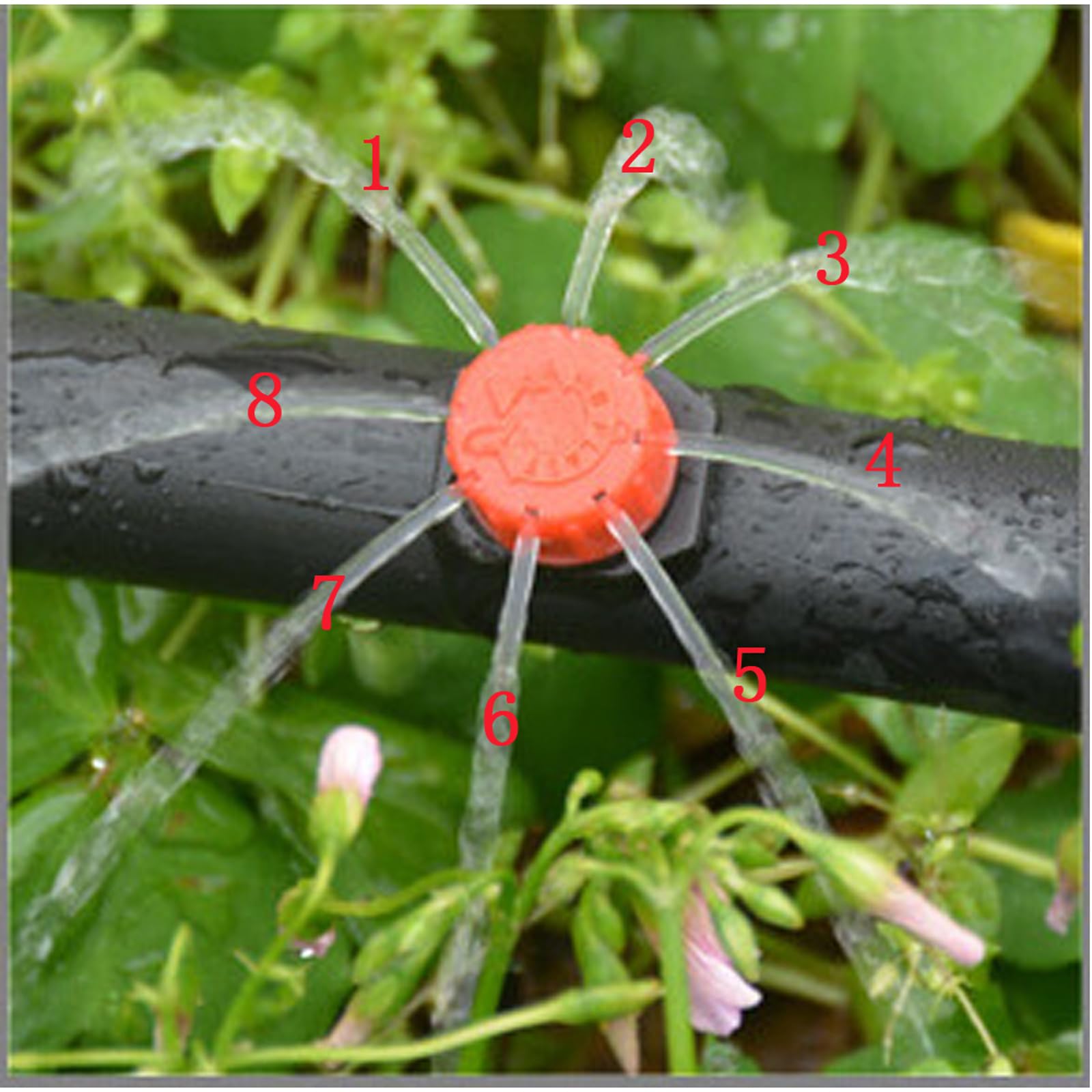 BETESSIN 100pcs Goutteur Irrigation Réglable Goutte à Goutte Système D