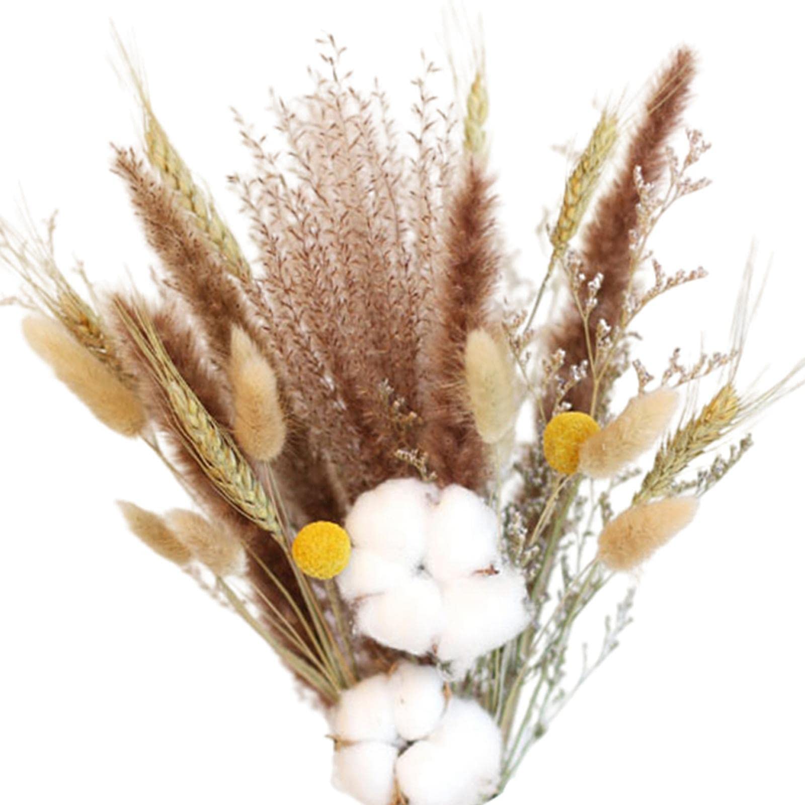 ATORSE™ Dried Pampas Grass Phragmites Reed Flower Bunch Home Living Room Decor-image-23