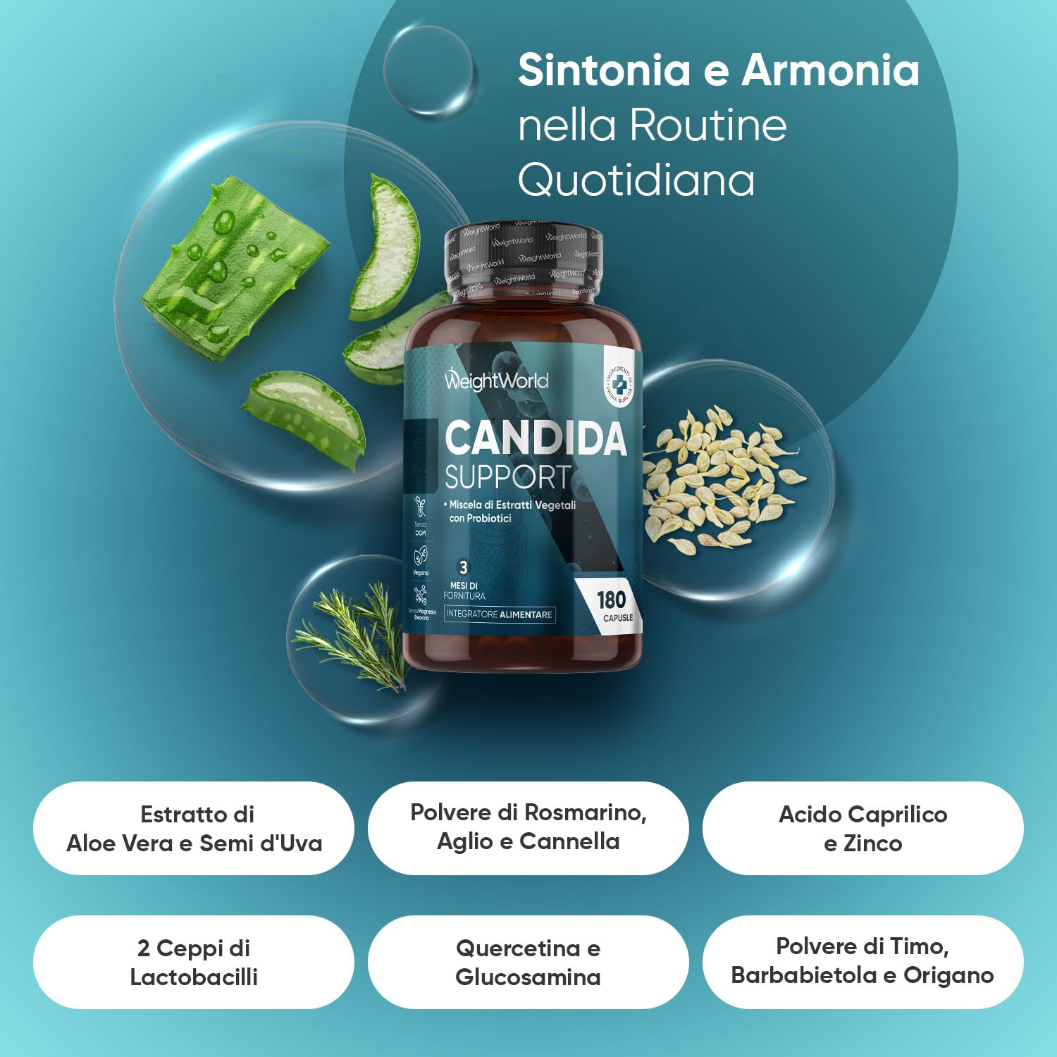 Candida Support 180 Capsule Vegane, (Scorta 3 Mesi), Complex con Zinco, Aglio, Quercetina, Aloe Vera, Rosmarino, Cannella, Probiotici Donna e Uomo, Lactobacillus Acidophilus e Bifidobacterium Bifidum