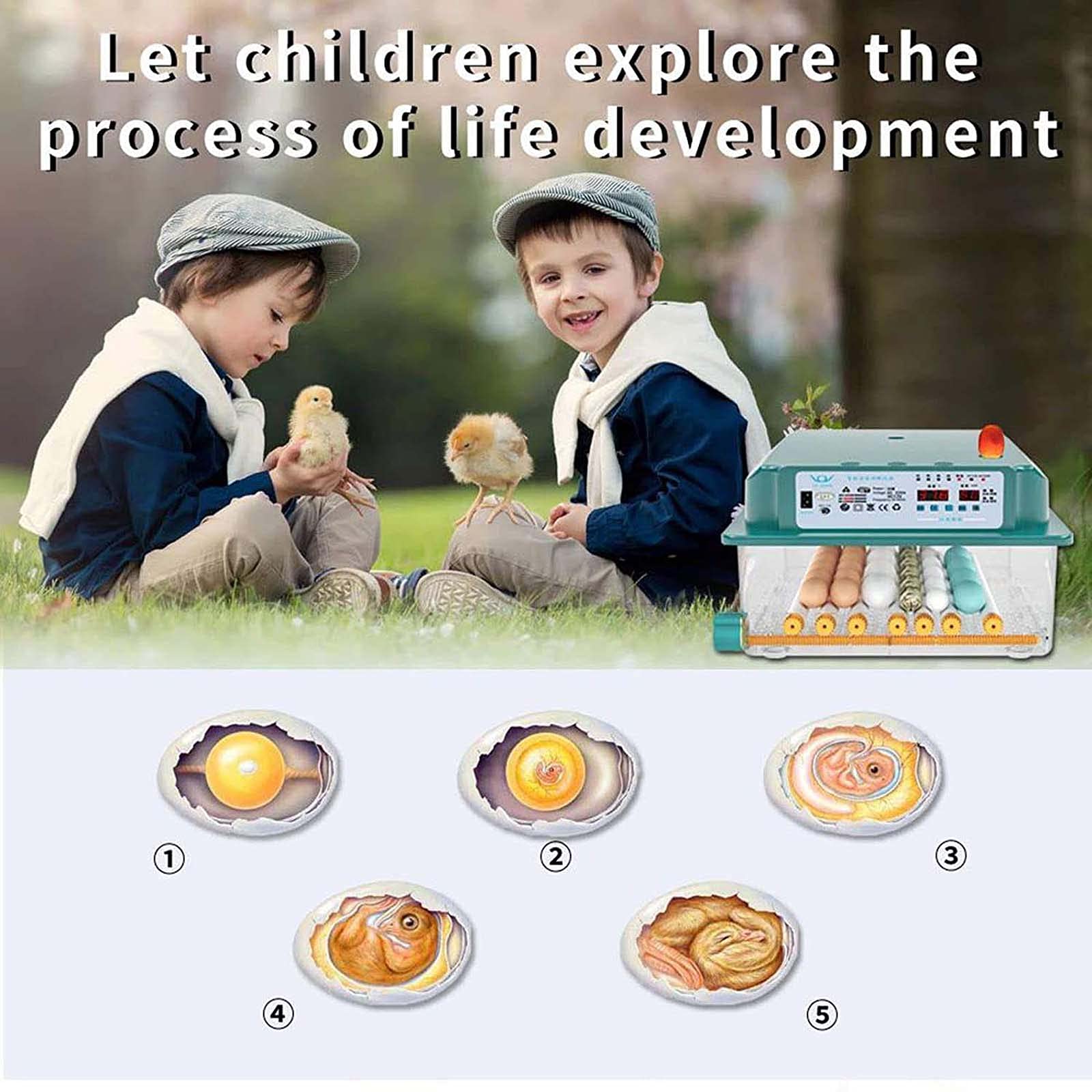 Incubadora de pollitos para el hogar, Incubadora de criadora, Incubadora automática de huevos, Incubadora de pollitos, Granja controladora de incubadora para el hogar, para incubar ( 176 pieces)