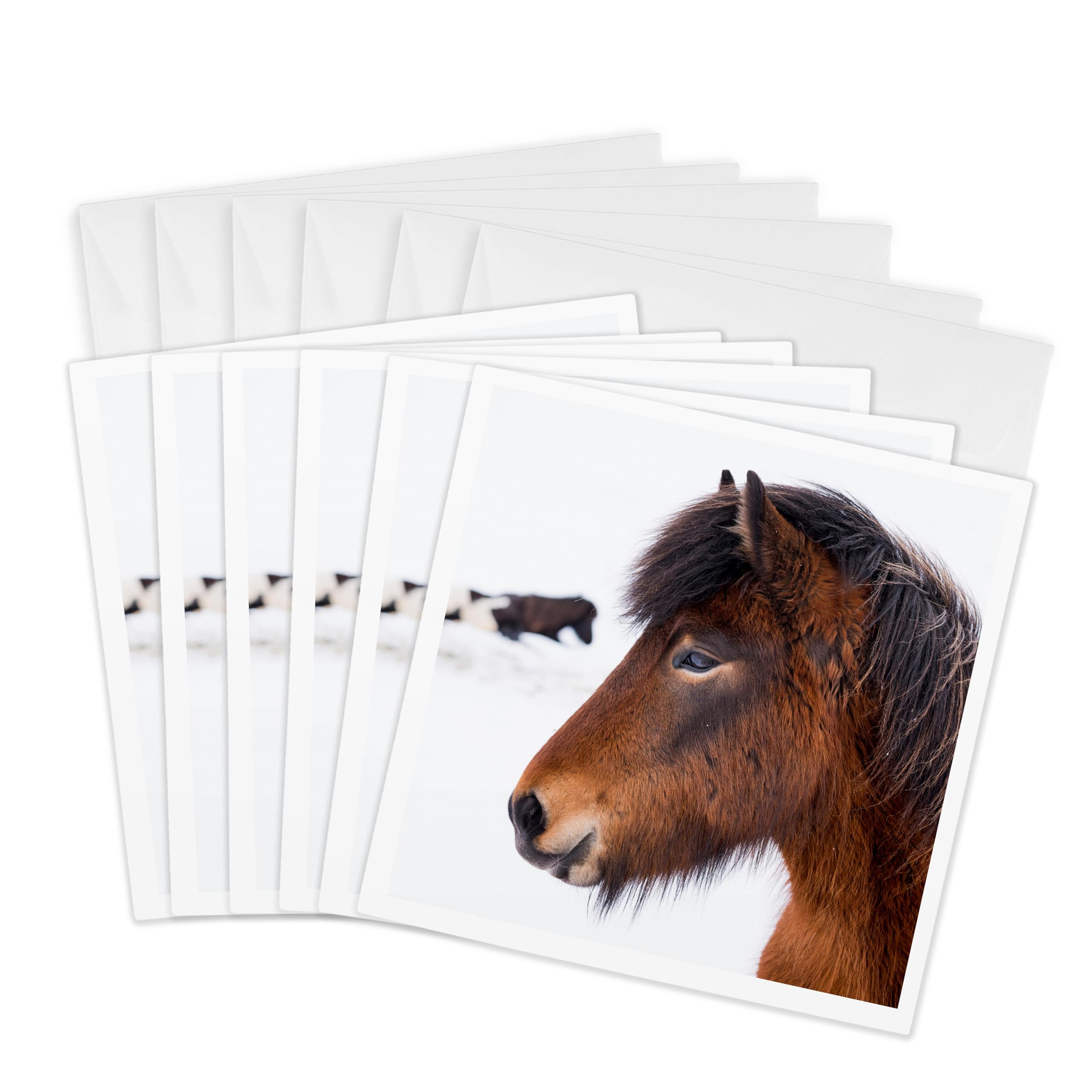 3dRose gc_249064_1 6 x 6-Inch"Icelandic Horses with Typical Thick Shaggy Winter Coat, Iceland 01" Greeting Card (Pack of 6)